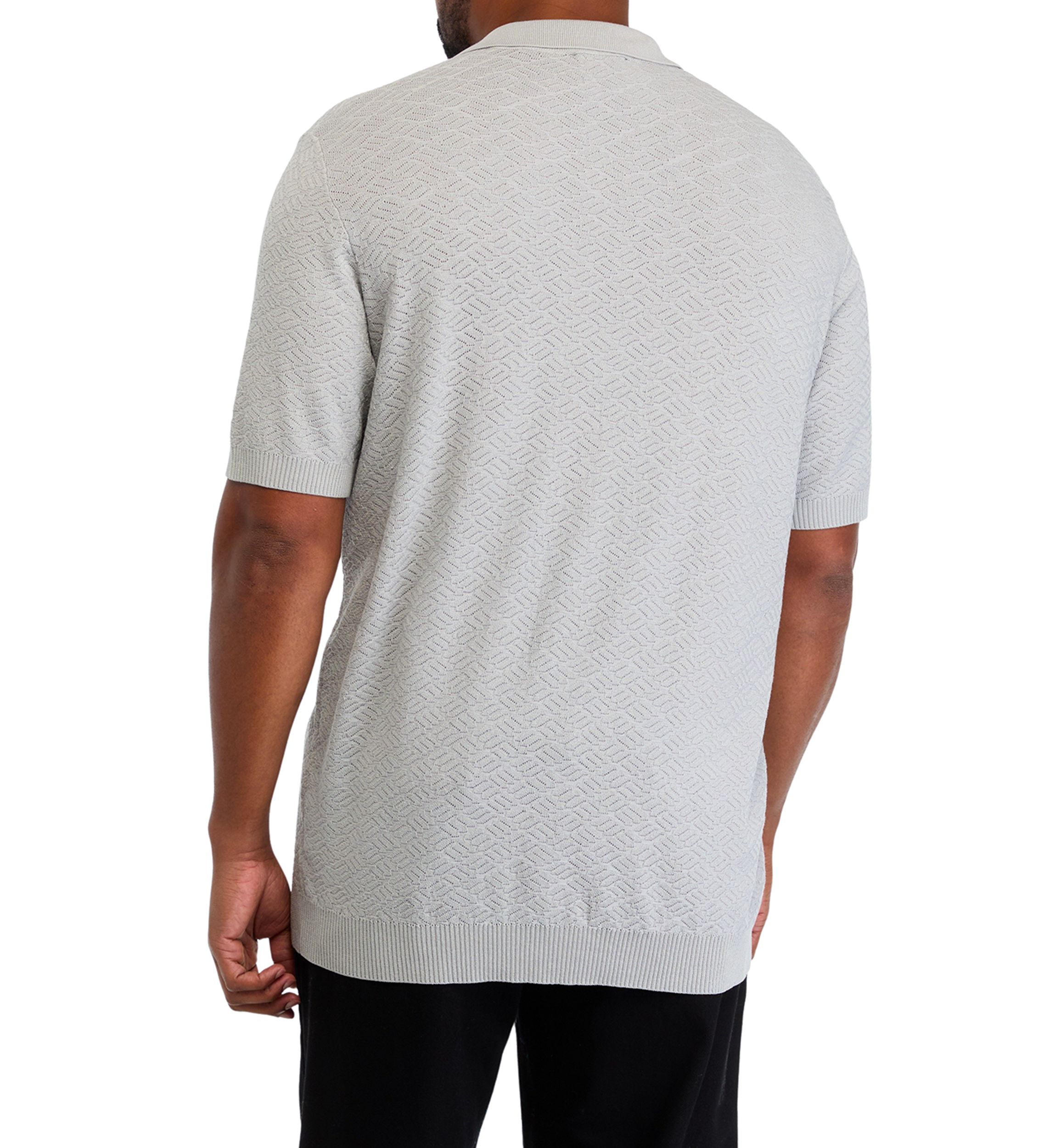 Big & Tall Short Sleeve Textured Johnny Collar Polo Shirt