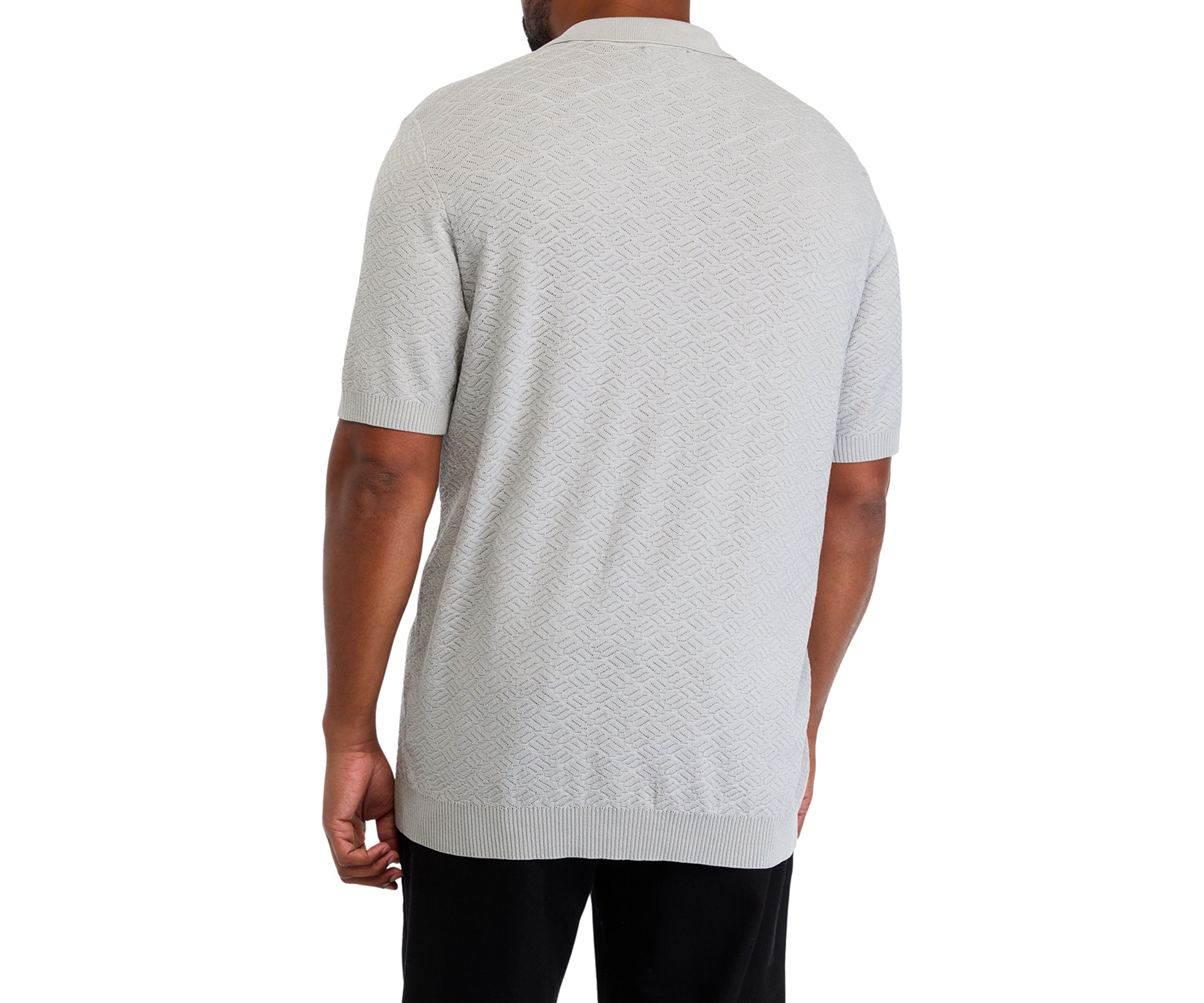 Big & Tall Short Sleeve Textured Johnny Collar Polo Shirt