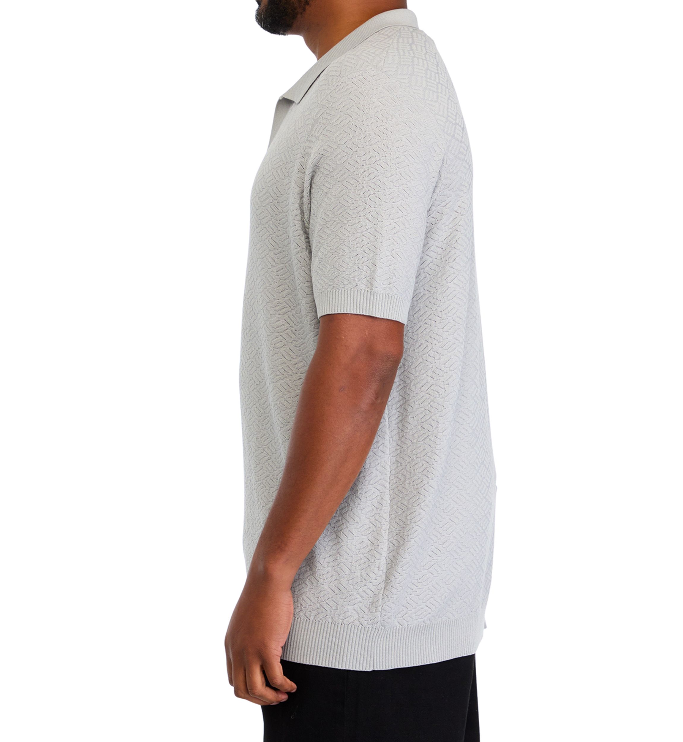 Big & Tall Short Sleeve Textured Johnny Collar Polo Shirt