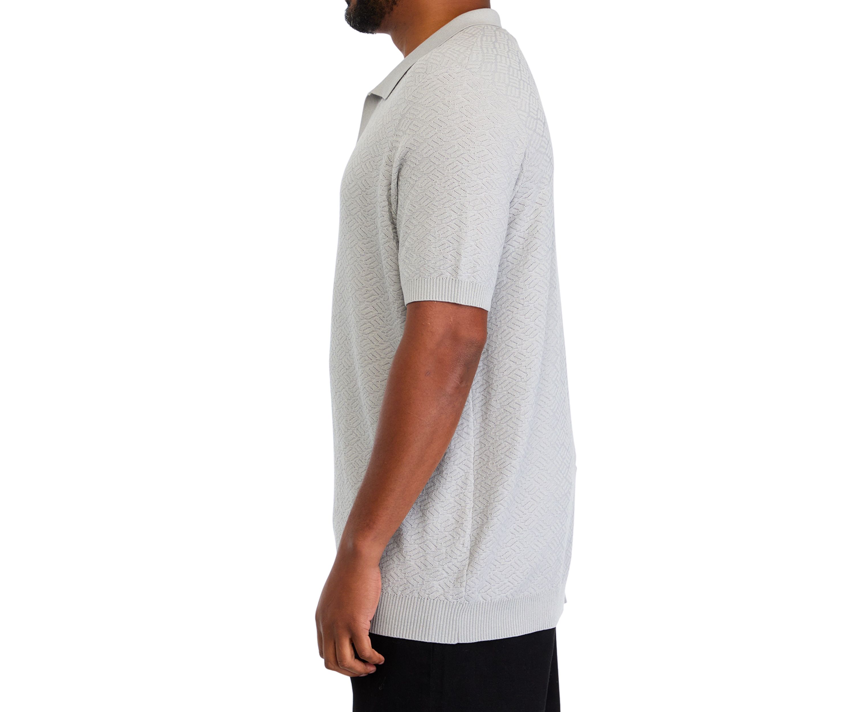 Big & Tall Short Sleeve Textured Johnny Collar Polo Shirt