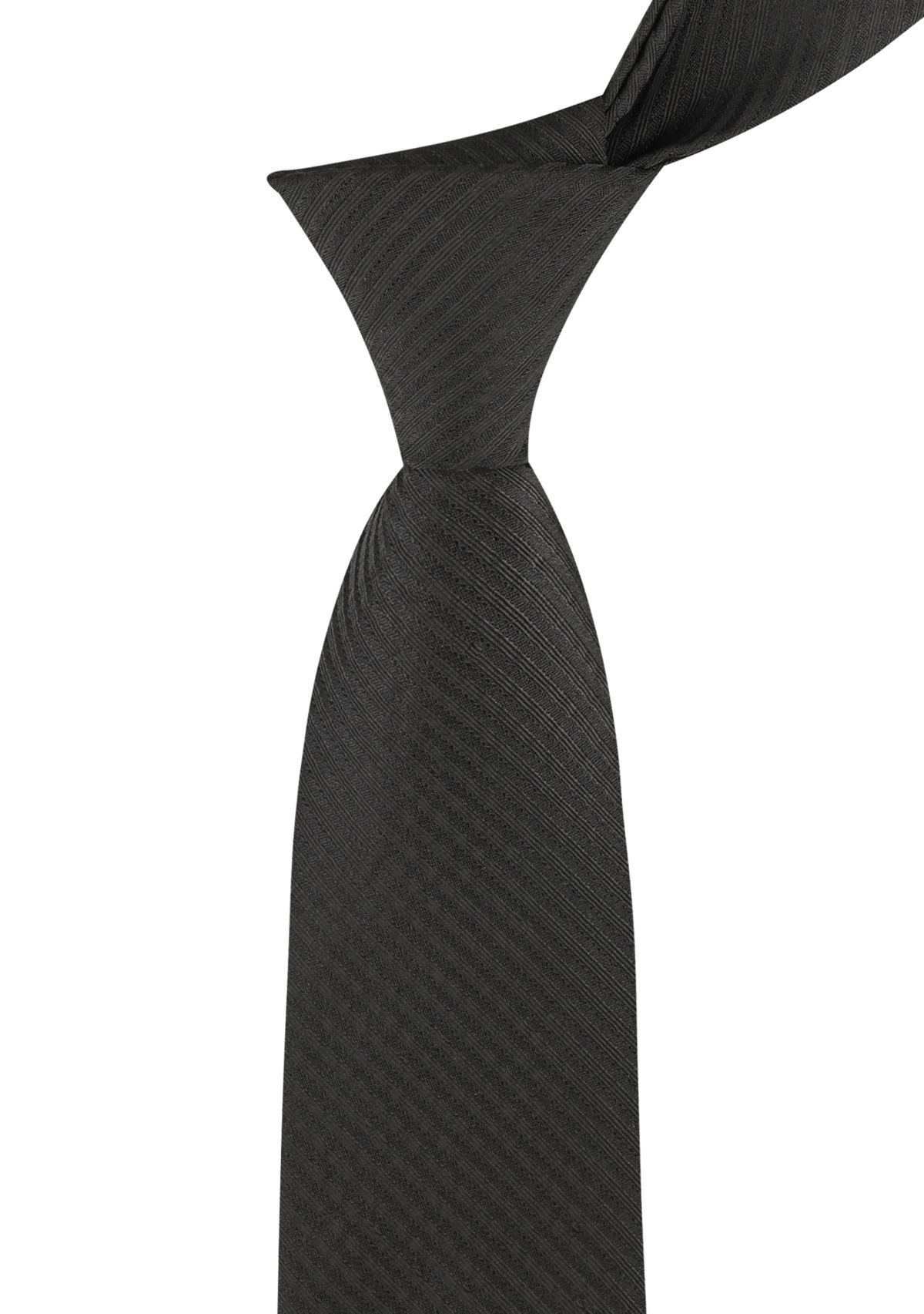 Mens Iris Stripe Tie