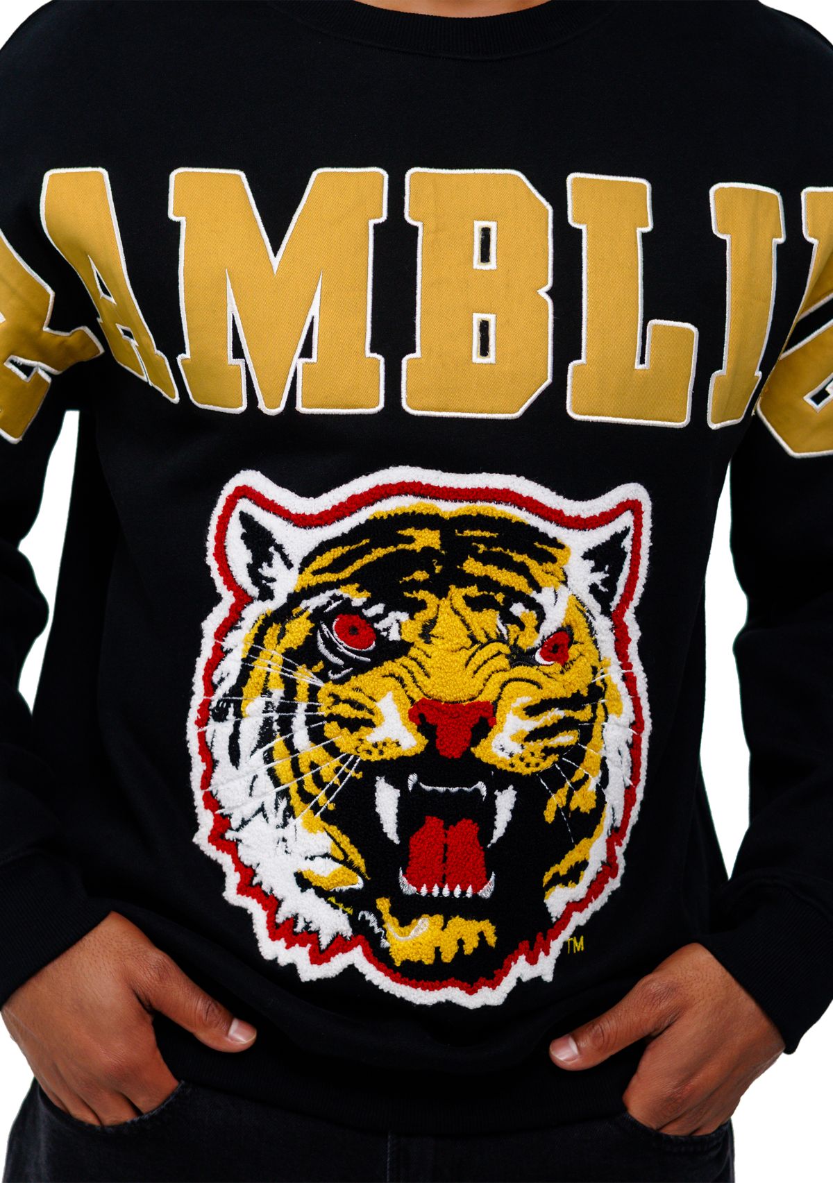 NCAA Grambling State Tigers Graphic Crew Sweatshirt