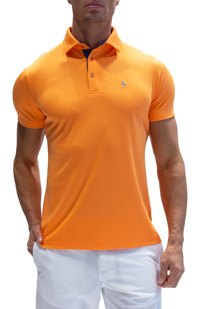 Vibrant Modal Polo