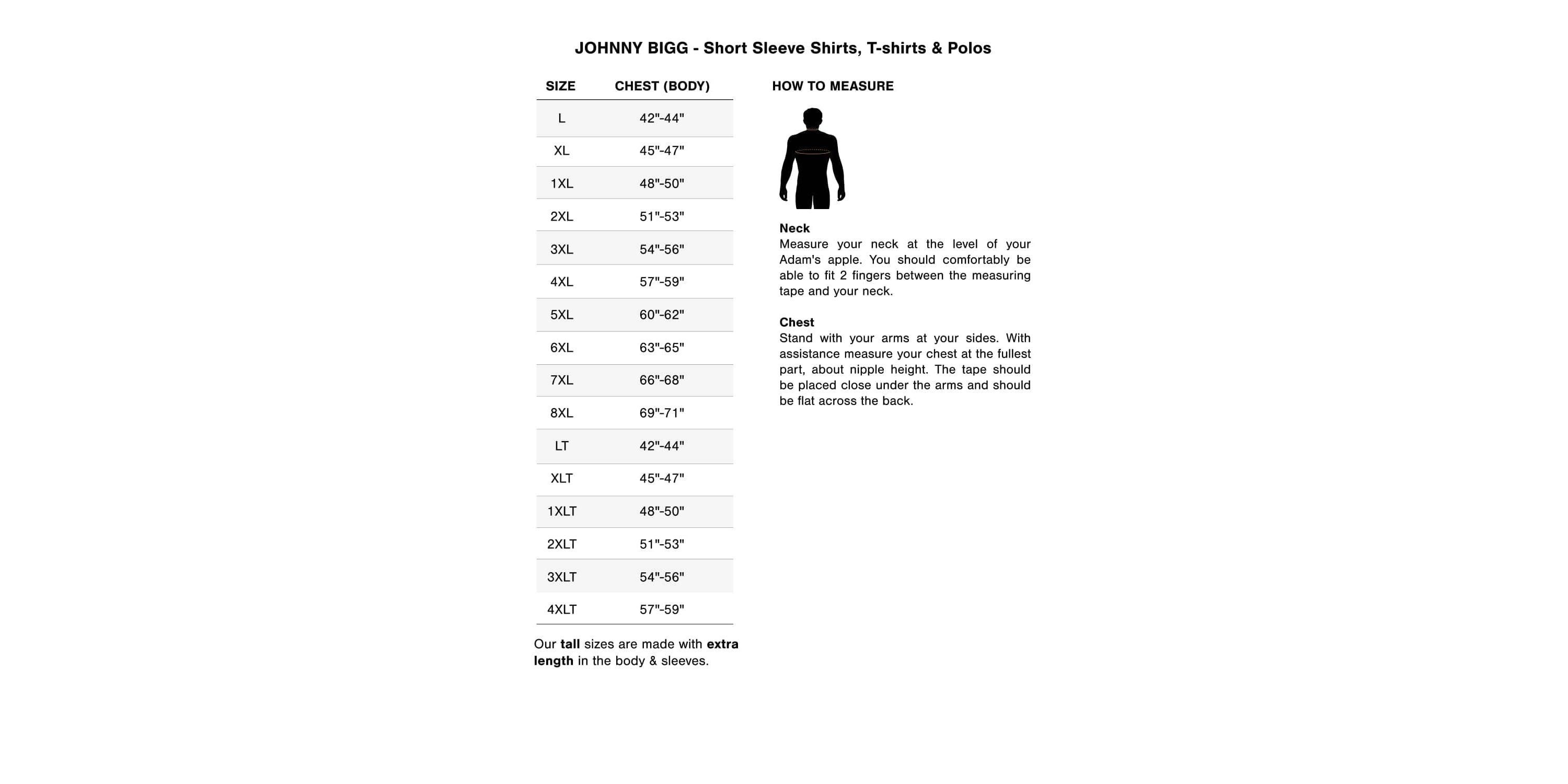Big & Tall Essential V Neck Tee