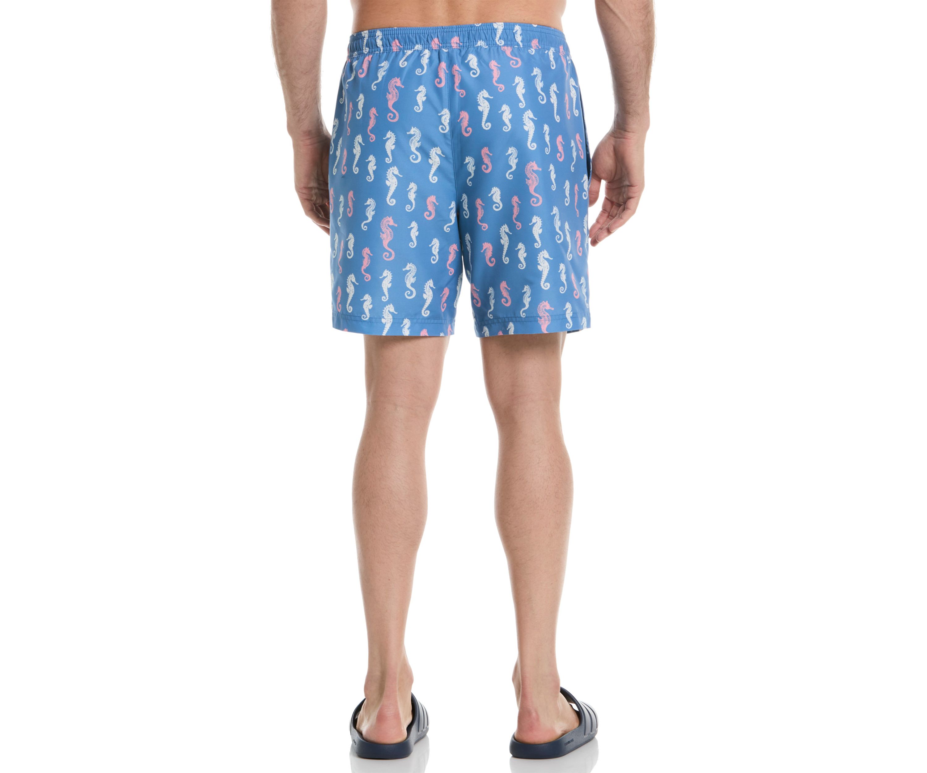 Seahorse Print Swim Trunks
