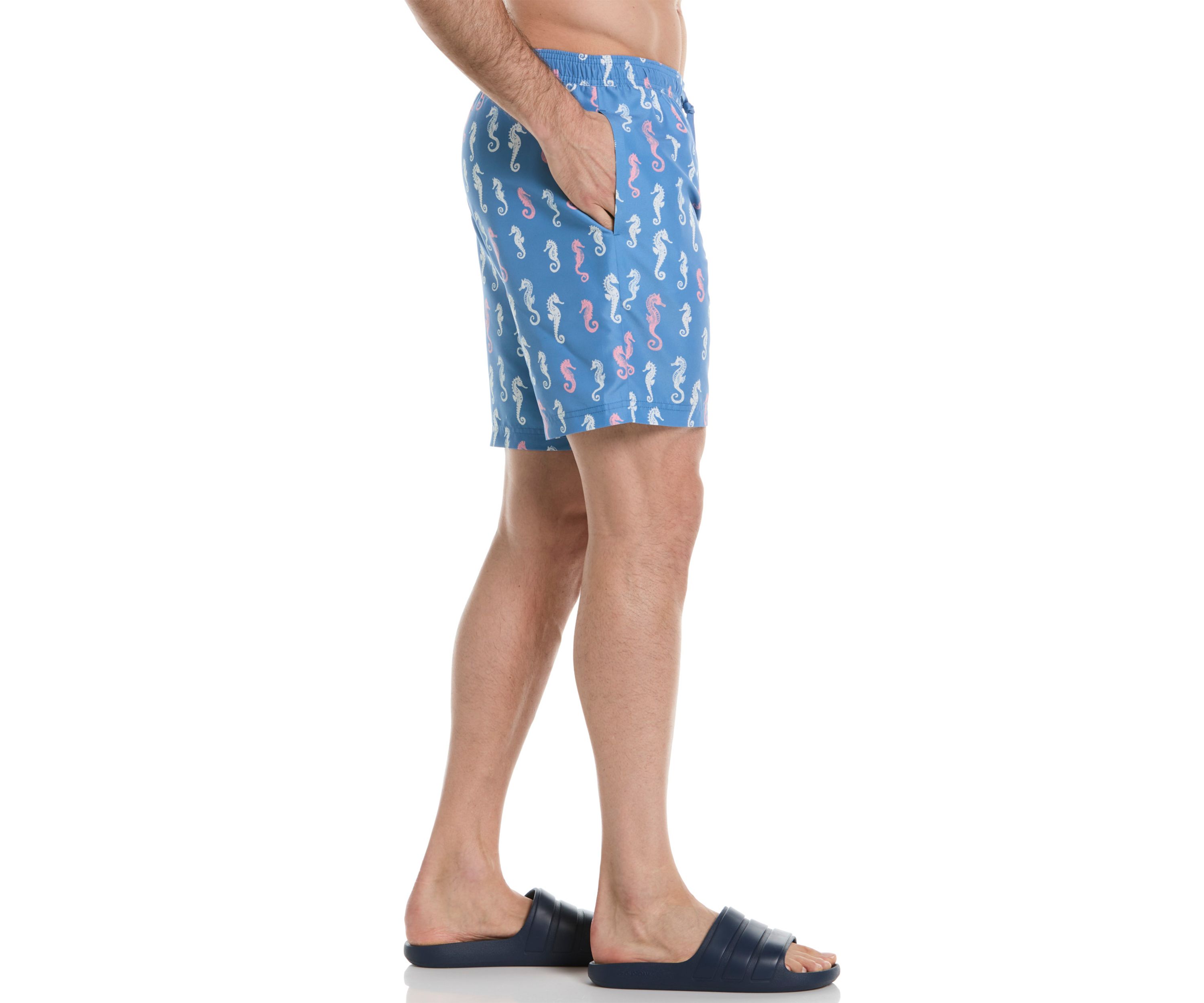 Seahorse Print Swim Trunks