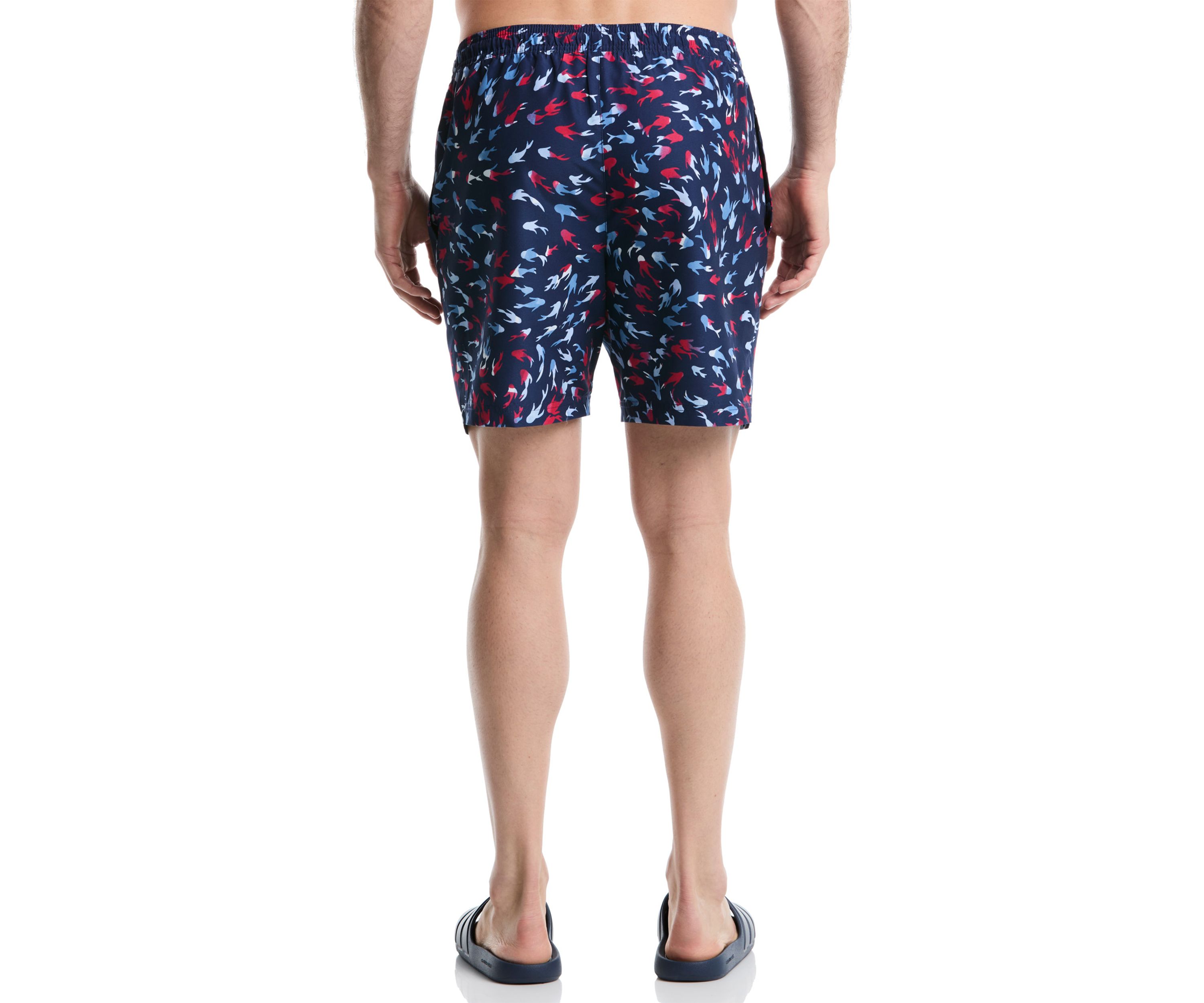 Fish Printed Multicolor Swim Trunks