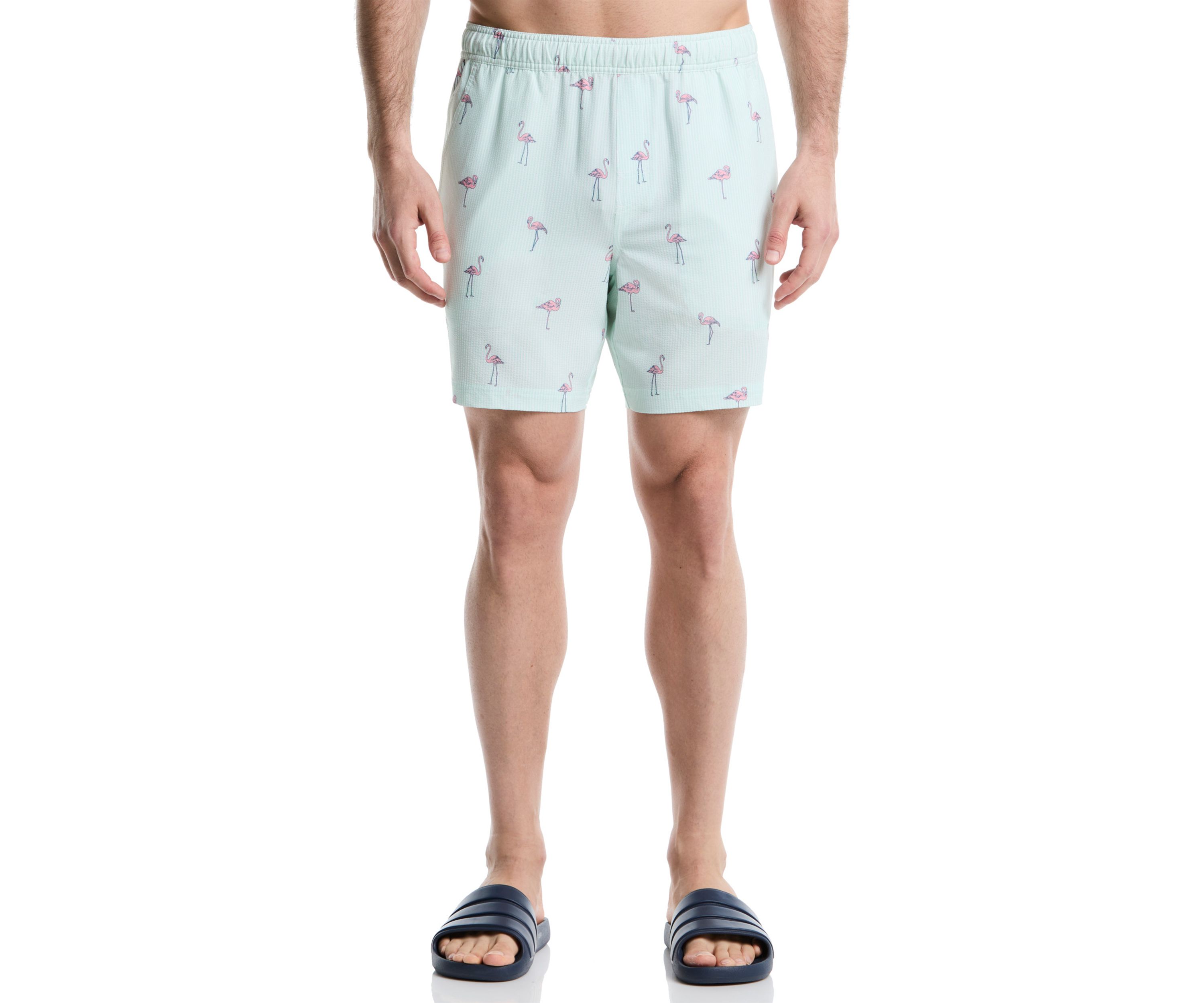 Flamingo Swim Trunks