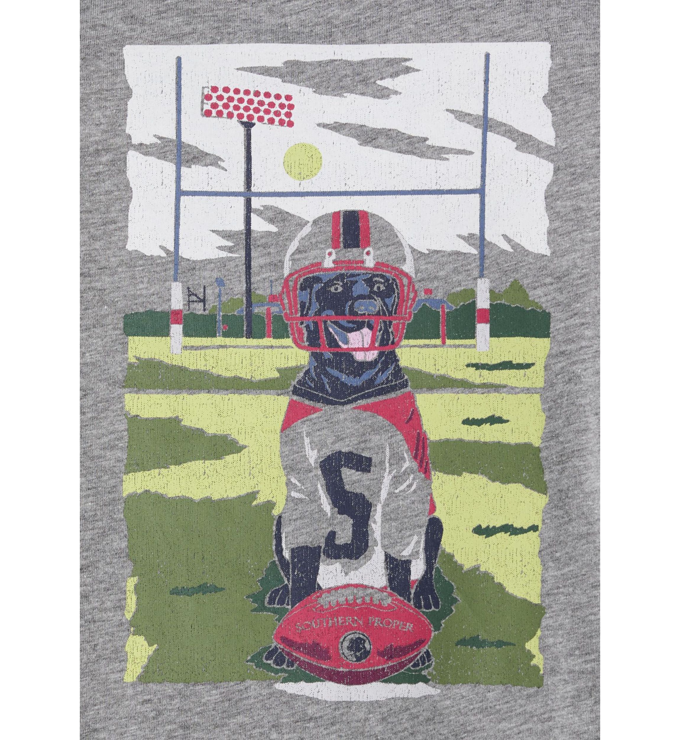 Mens Football Dog Graphic T-Shirt