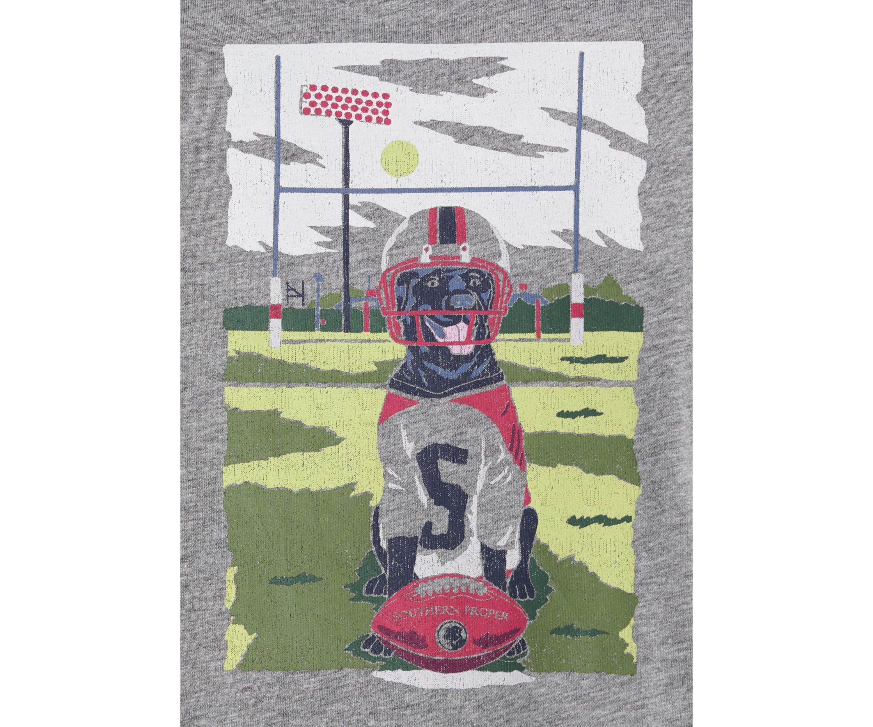 Mens Football Dog Graphic T-Shirt