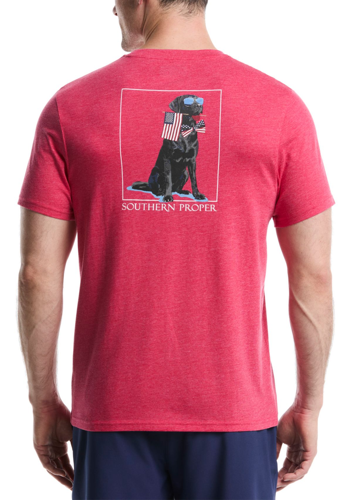 Patriotic Dog Graphic T-Shirt