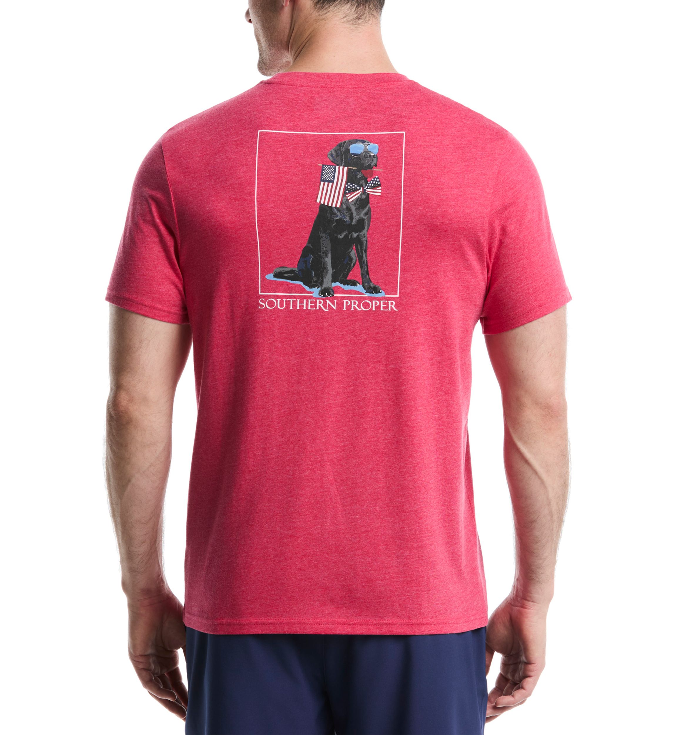 Patriotic Dog Graphic T-Shirt