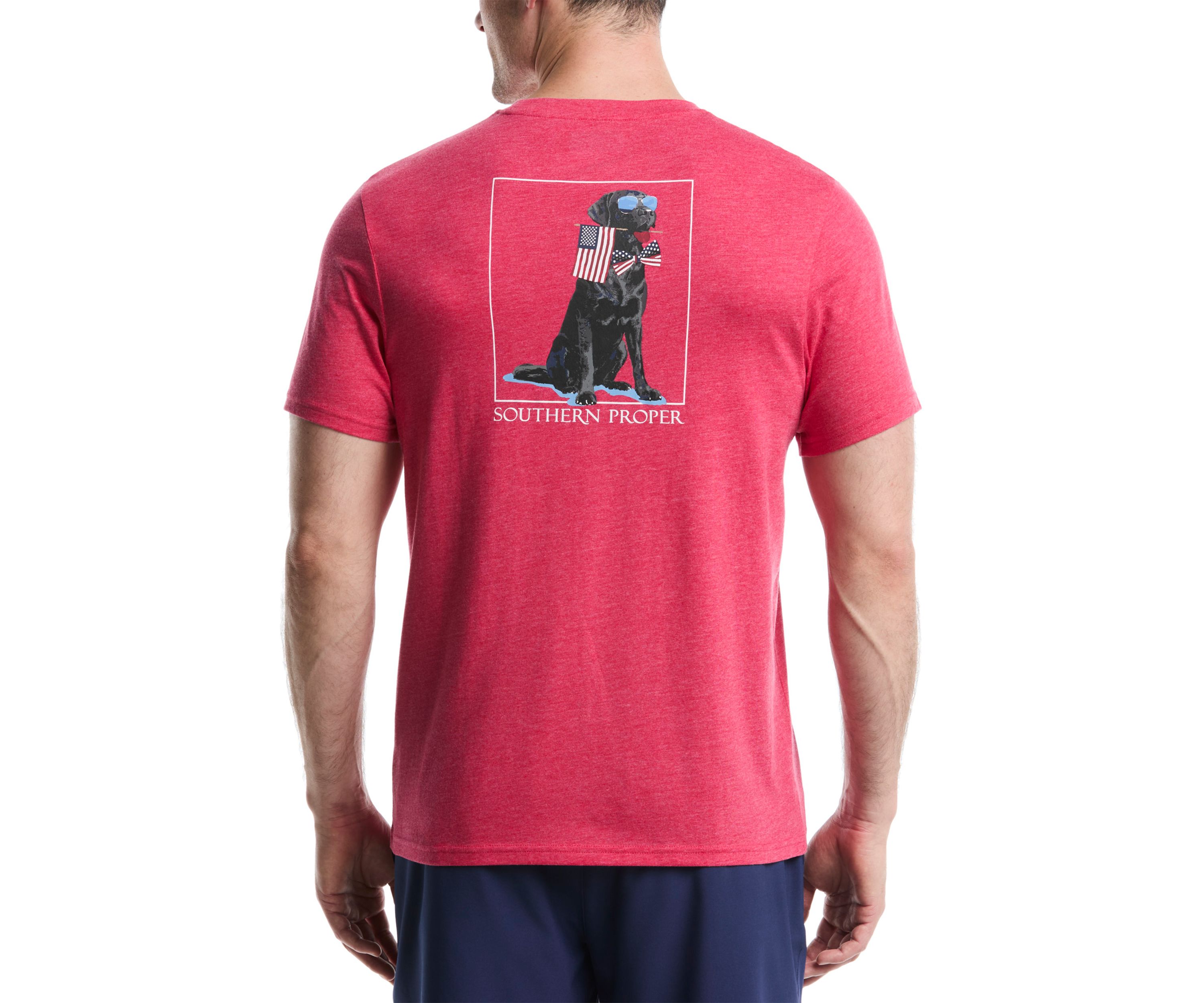 Patriotic Dog Graphic T-Shirt
