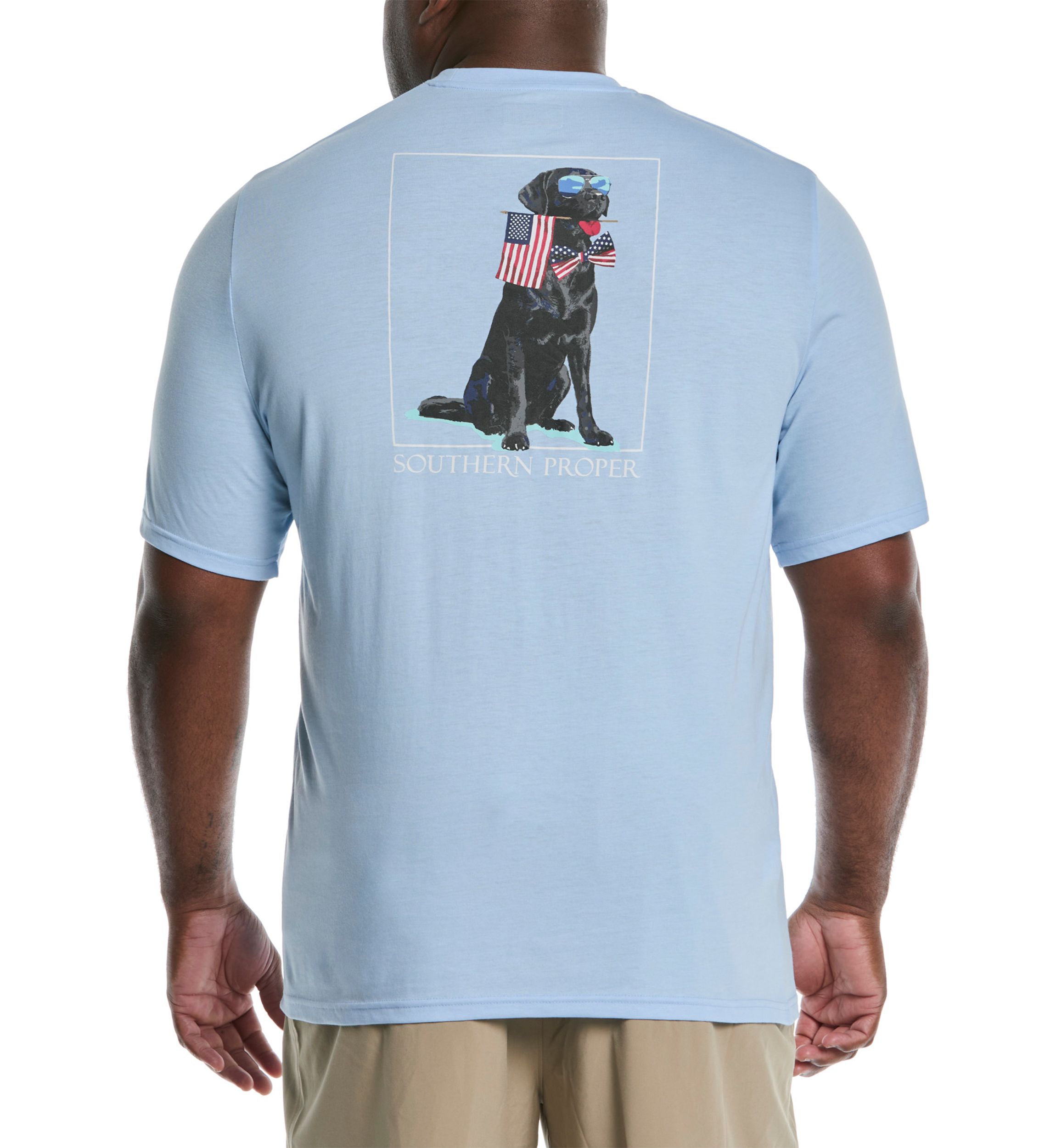Big & Tall Short Sleeve Patriotic Dog Graphic T-Shirt