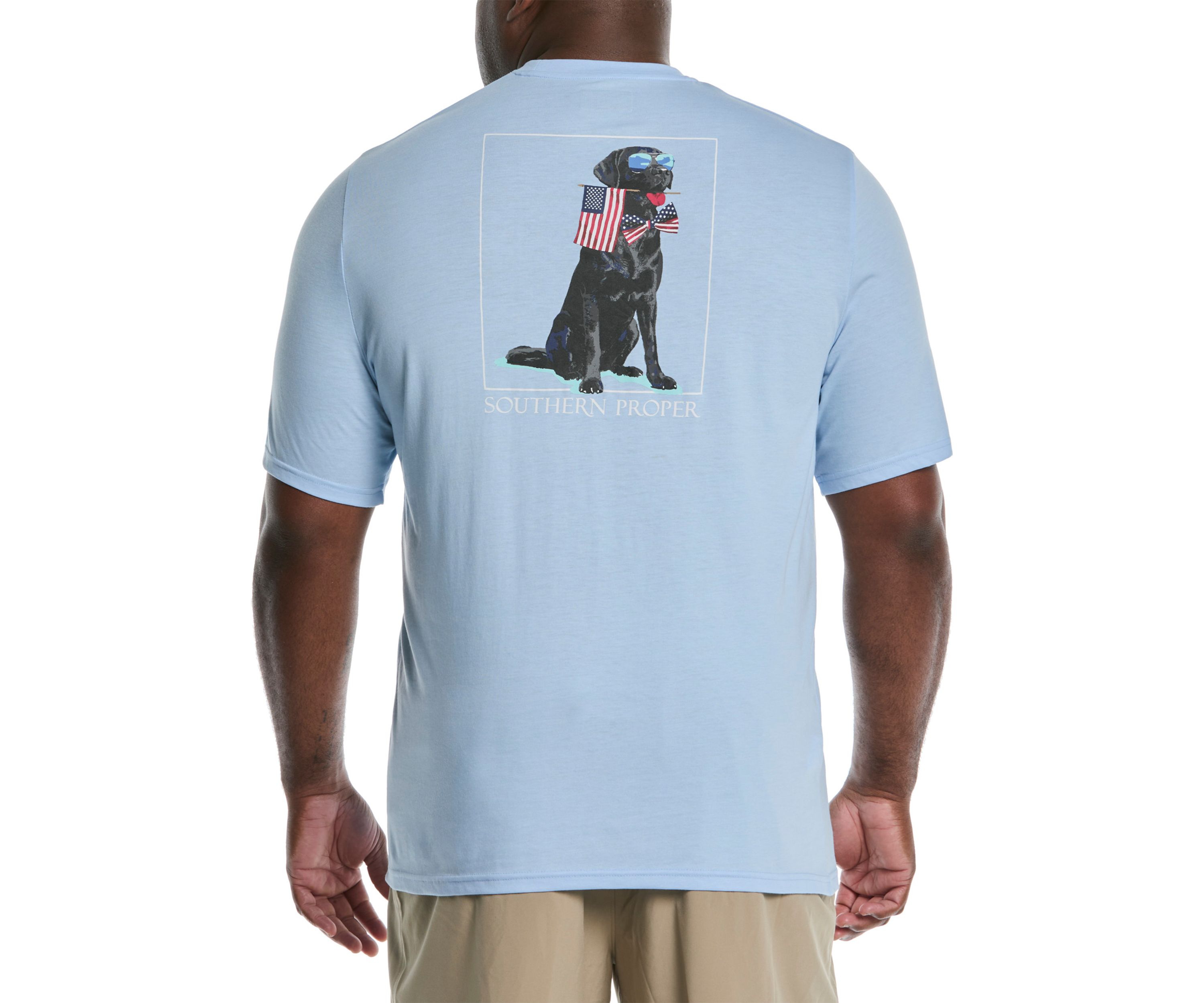 Big & Tall Short Sleeve Patriotic Dog Graphic T-Shirt