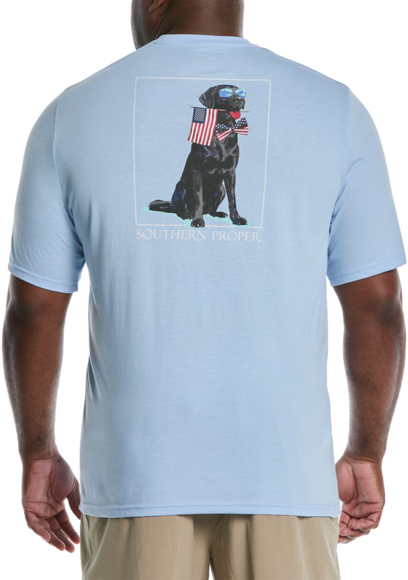 Big & Tall Short Sleeve Patriotic Dog Graphic T-Shirt