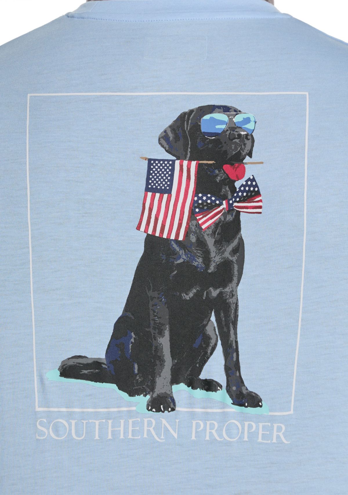 Big & Tall Short Sleeve Patriotic Dog Graphic T-Shirt