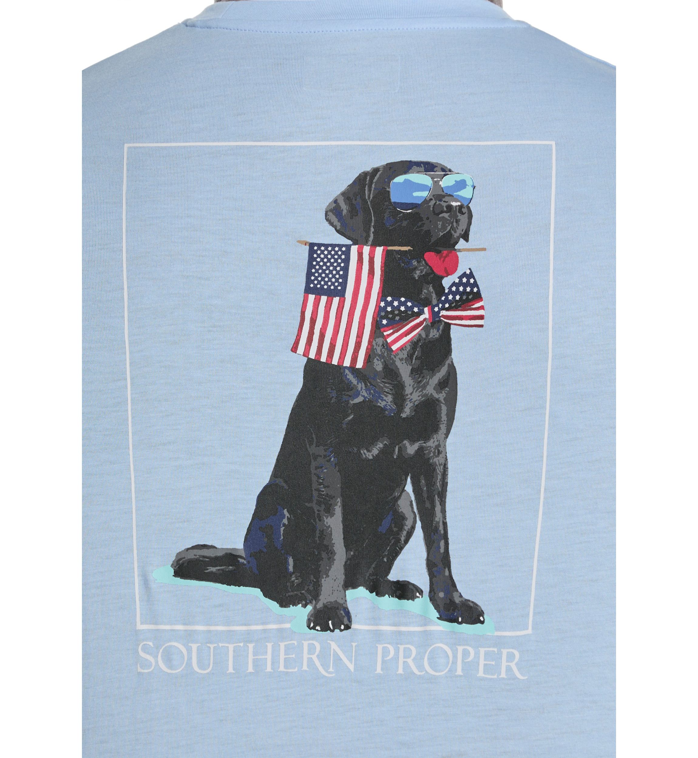 Big & Tall Short Sleeve Patriotic Dog Graphic T-Shirt