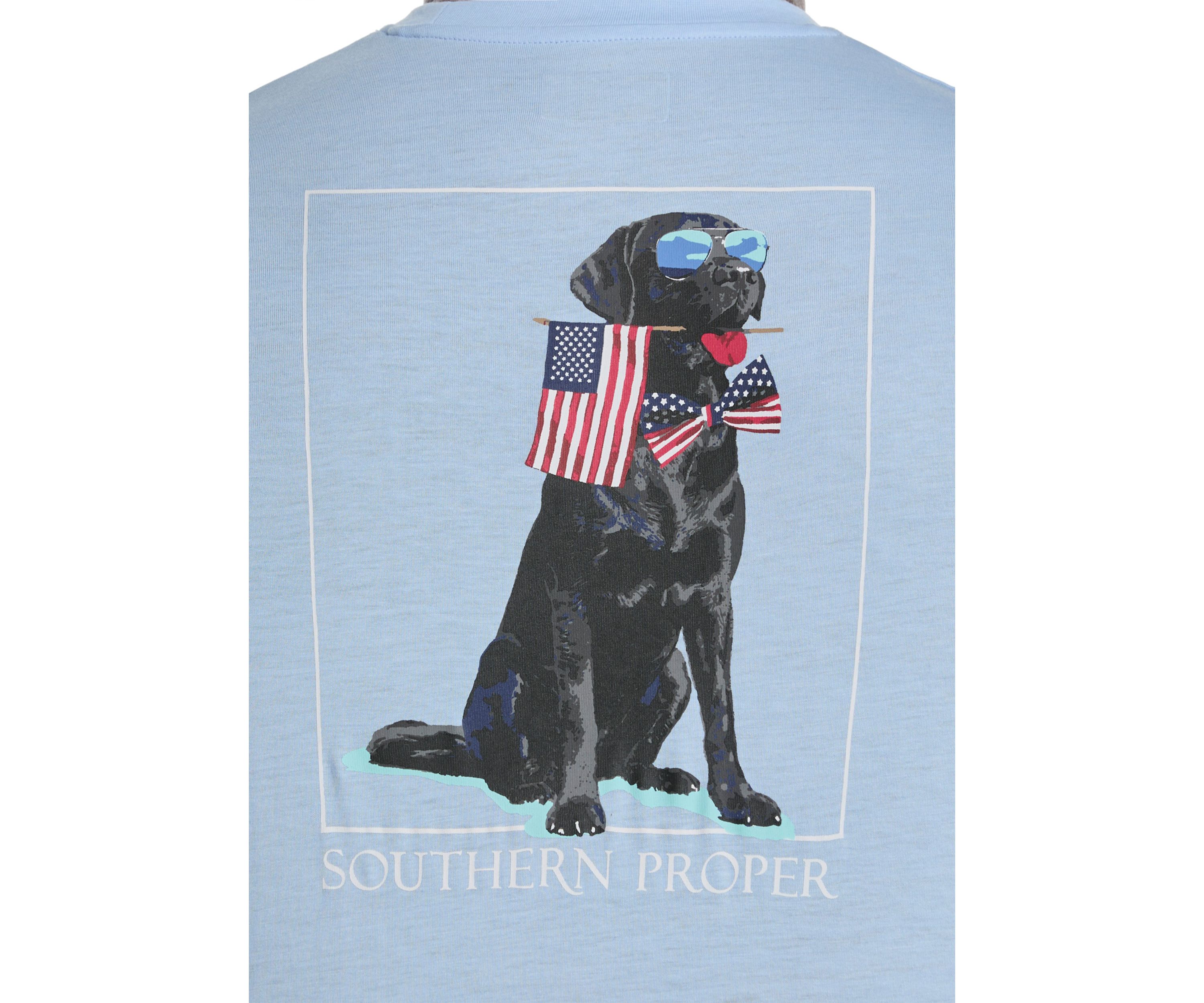 Big & Tall Short Sleeve Patriotic Dog Graphic T-Shirt