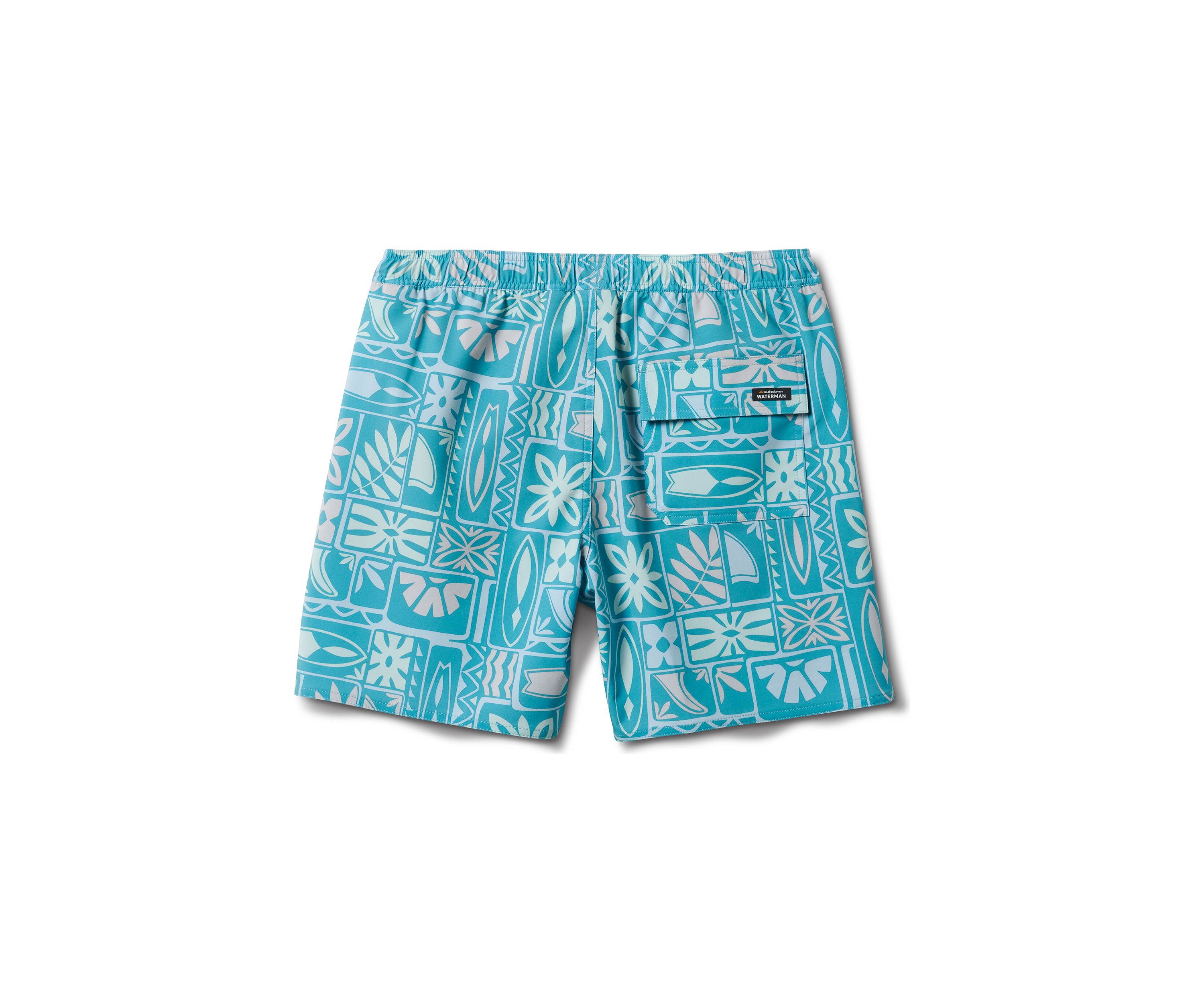 Borderline 17" Volley Swim Trunks