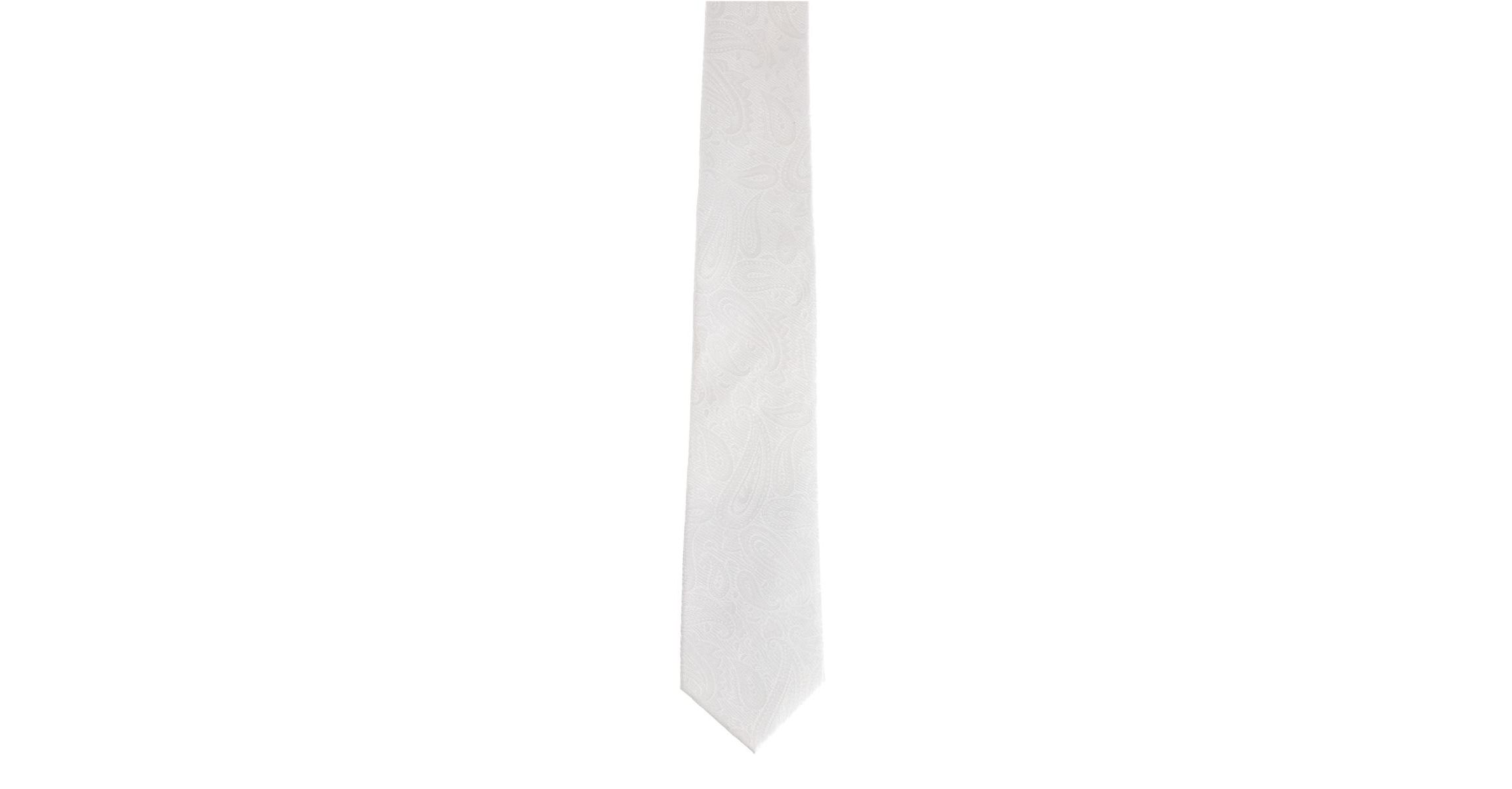 Big and Tall Banbury Tone on Tone Paisley Silk Necktie
