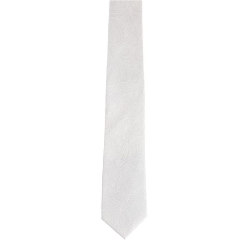 Big and Tall Banbury Tone on Tone Paisley Silk Necktie