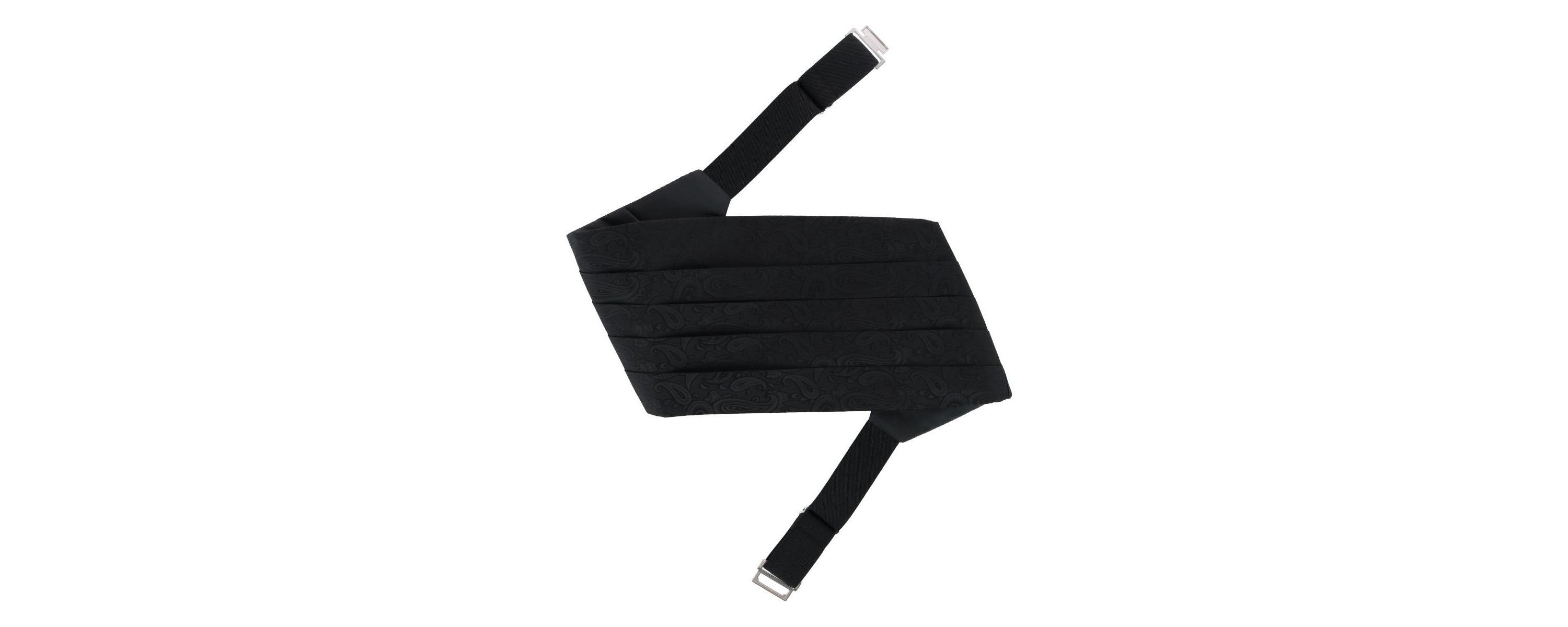Banbury Tone on Tone Paisley Silk Cummerbund