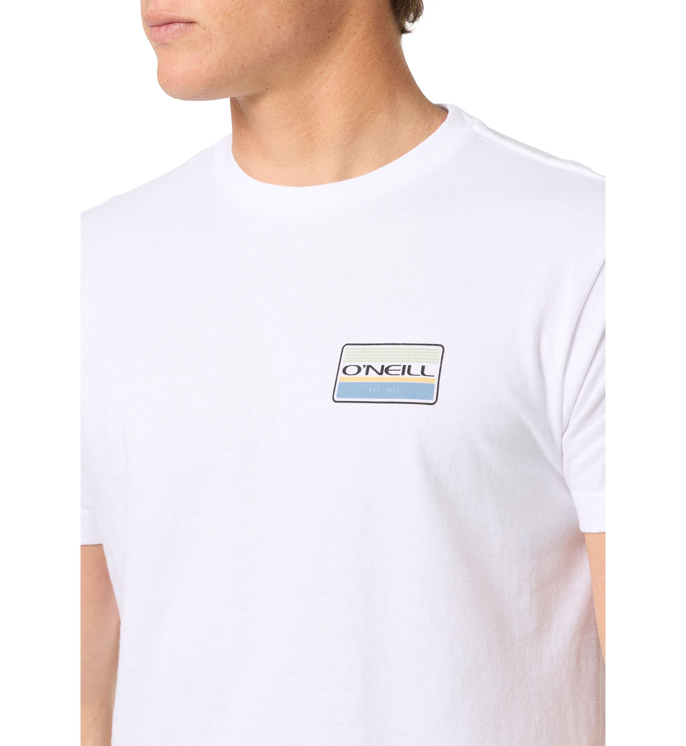 Mens Banner Graphic T-Shirt