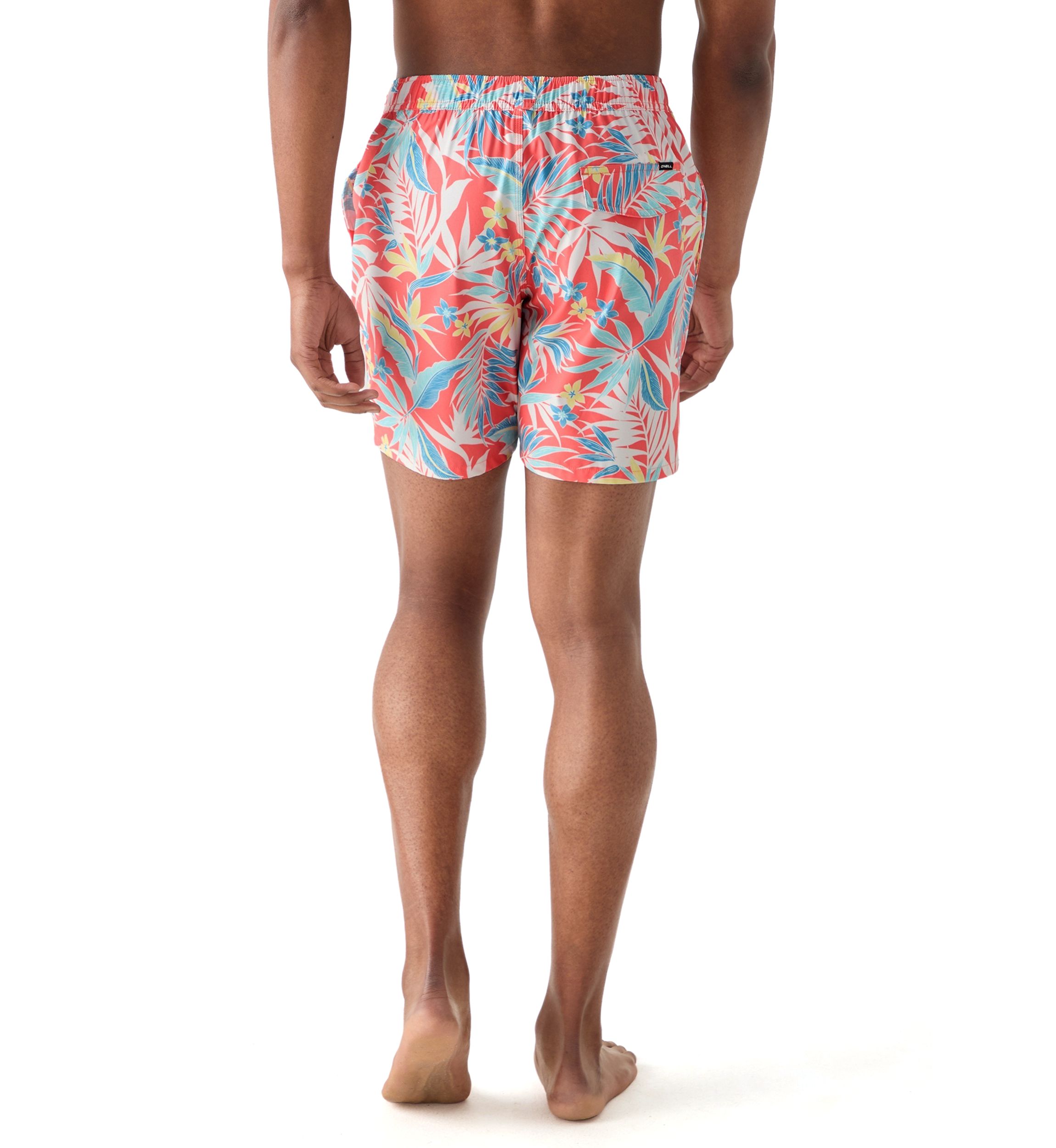 Mens Hermosa Swim Shorts