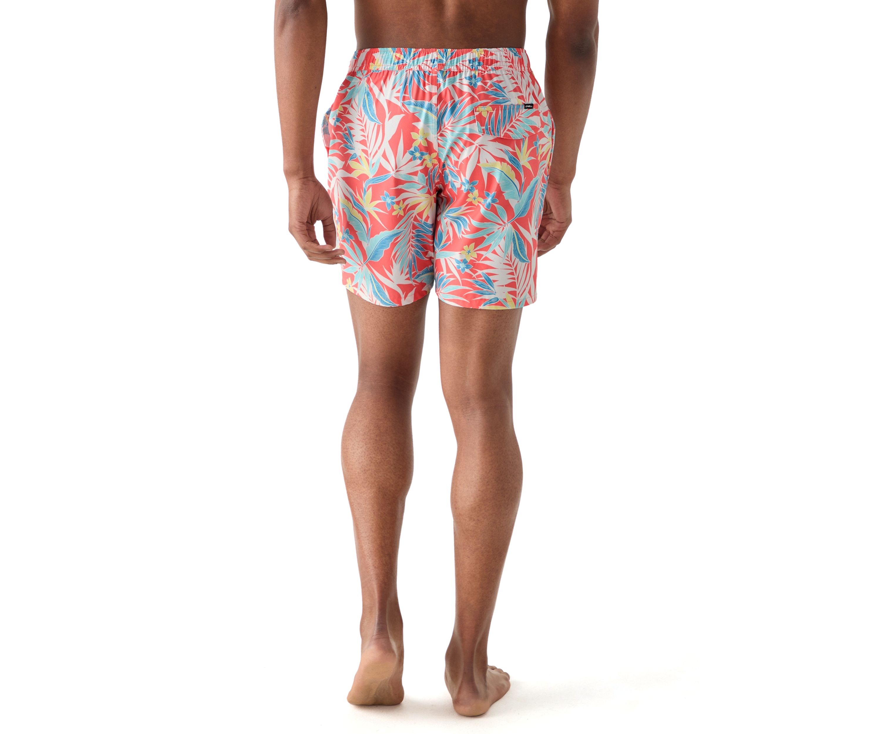 Mens Hermosa Swim Shorts