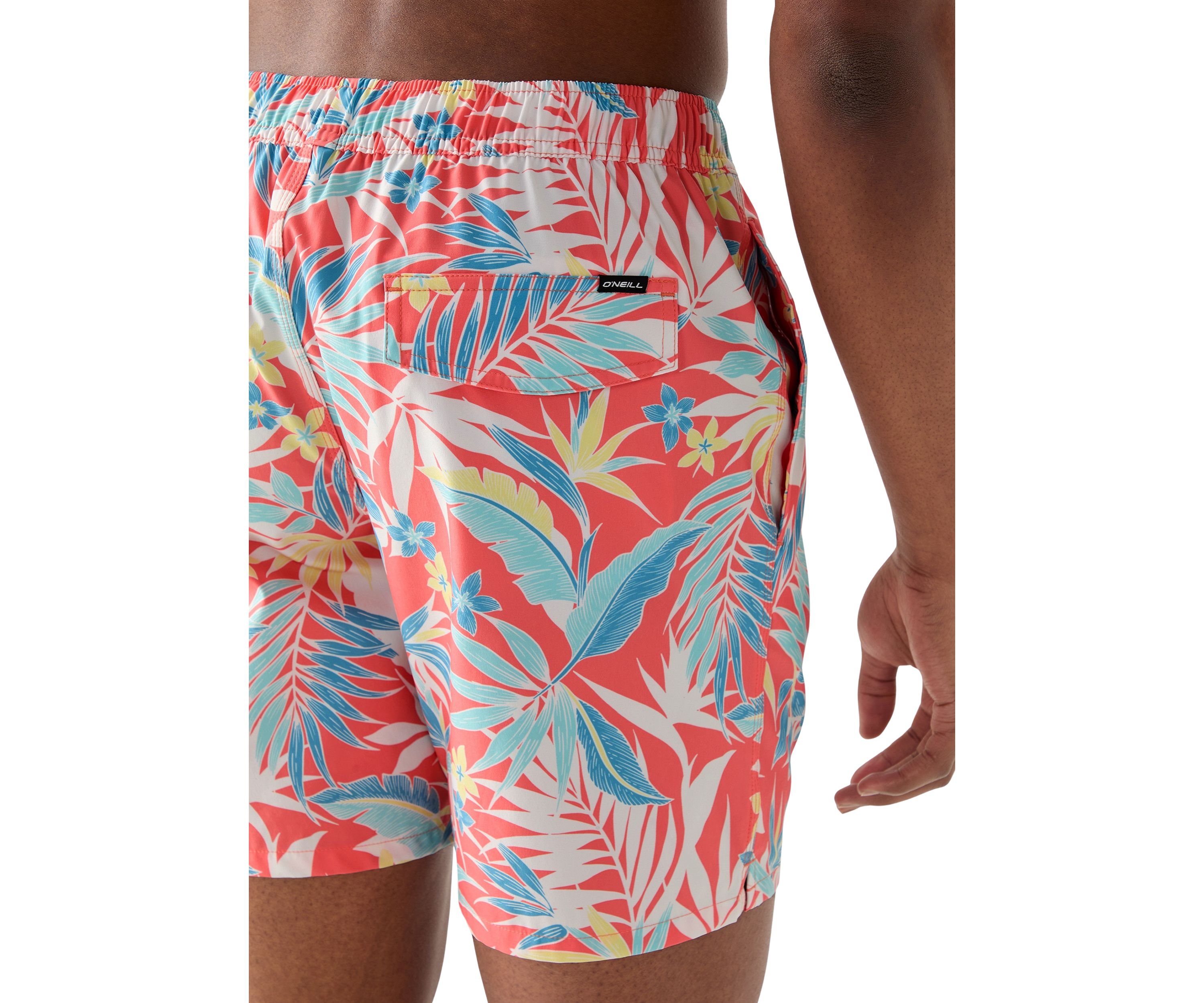 Mens Hermosa Swim Shorts