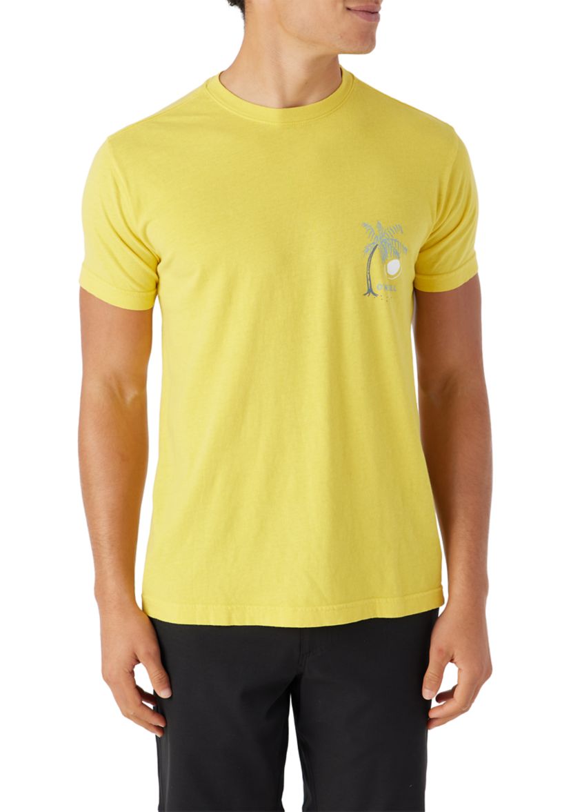 Mens Zone Graphic T-Shirt