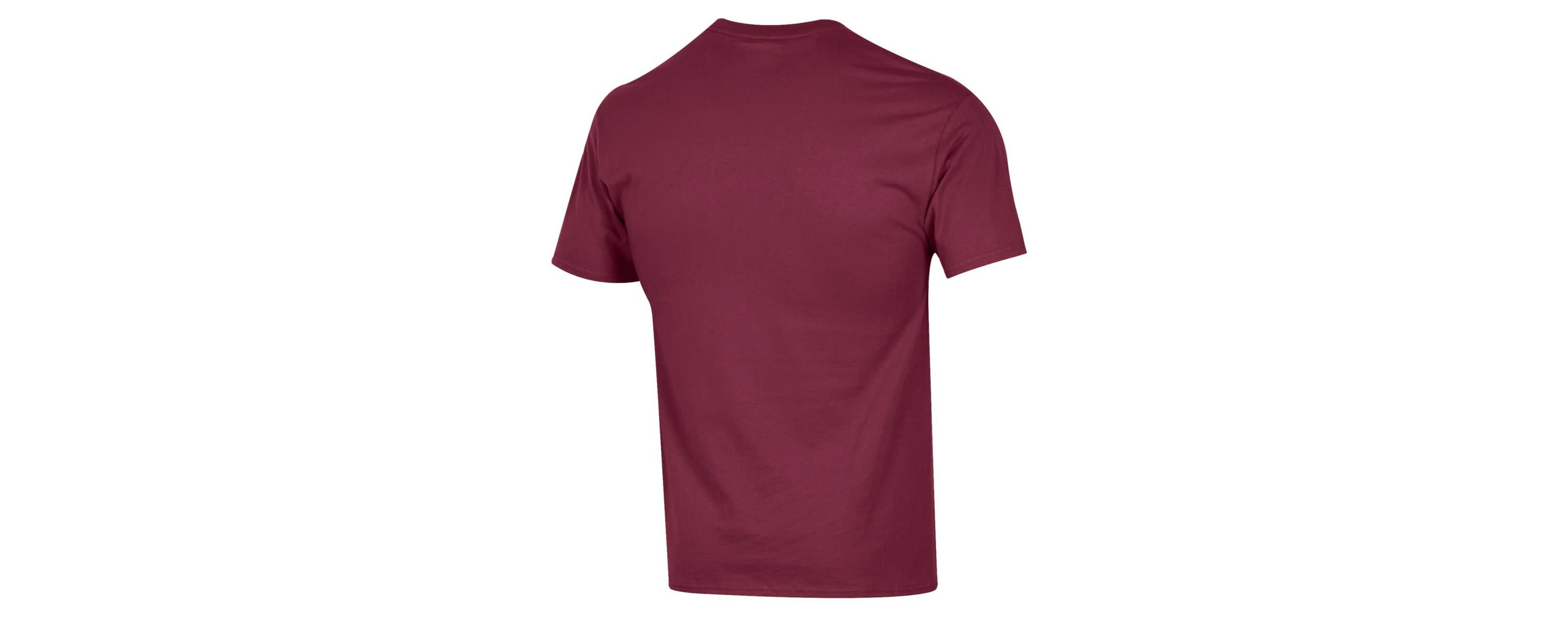 NCAA Florida State Seminoles Alumni Logo Stack T-Shirt