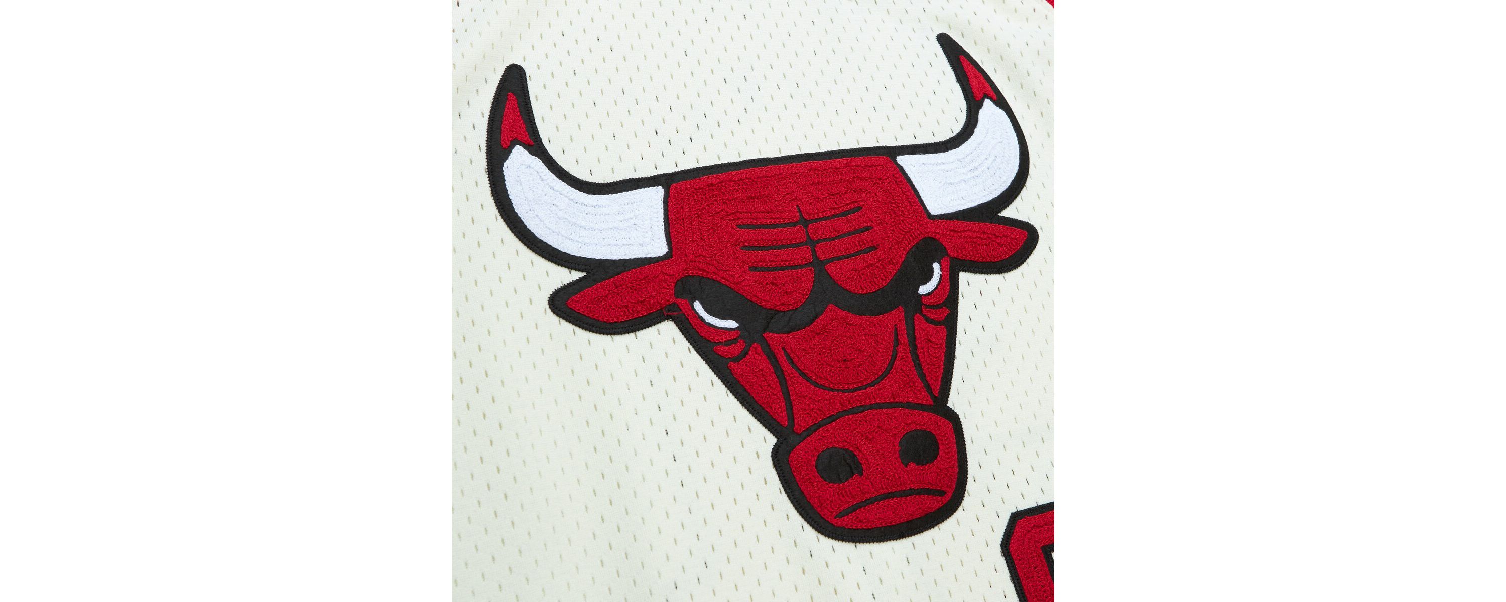 NBA Dennis Rodman Chicago Bulls Chainstitch Swingman Jersey