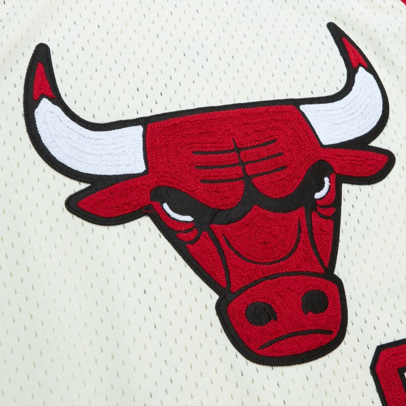 NBA Dennis Rodman Chicago Bulls Chainstitch Swingman Jersey