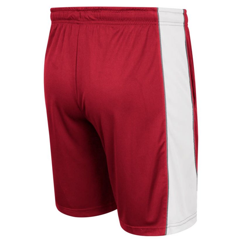 Alabama Crimson Tide NCAA Alabama Tide Panel Shorts