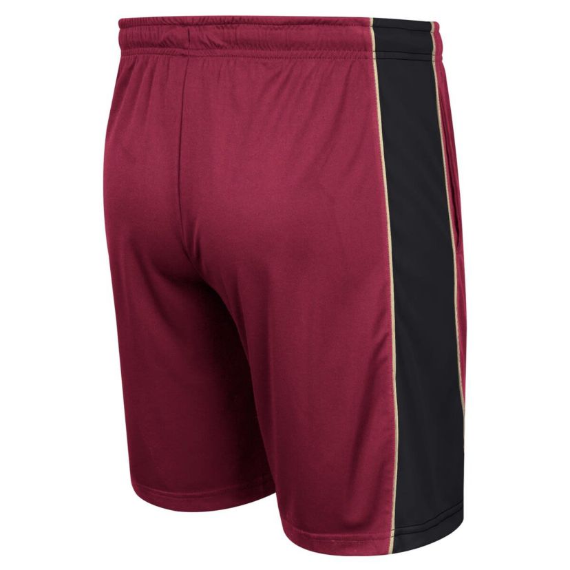 NCAA Florida State Seminoles Panel Shorts