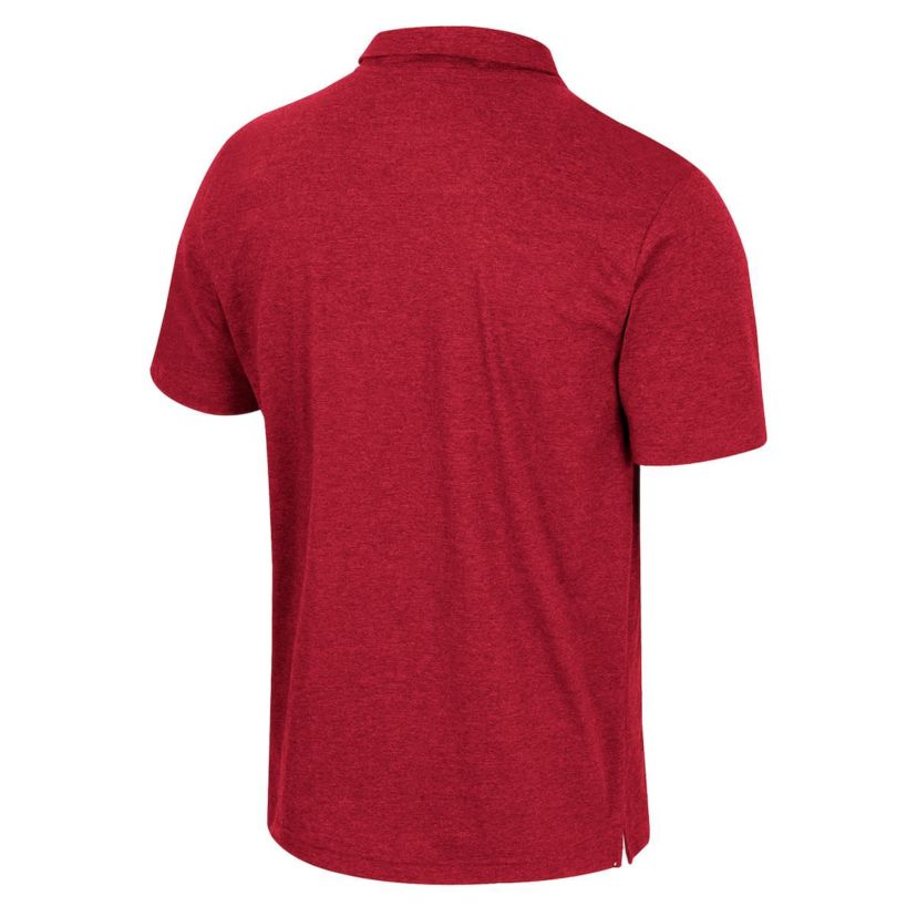 NCAA Arkansas Razorbacks No Problemo Polo