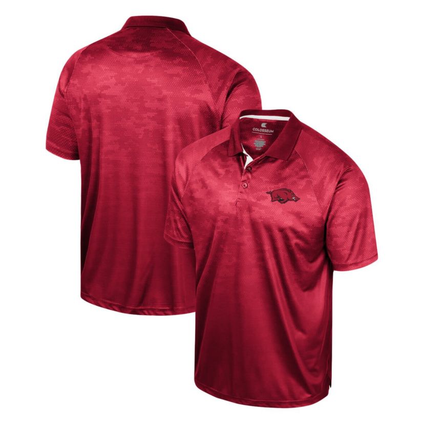 NCAA Arkansas Razorbacks Honeycomb Raglan Polo