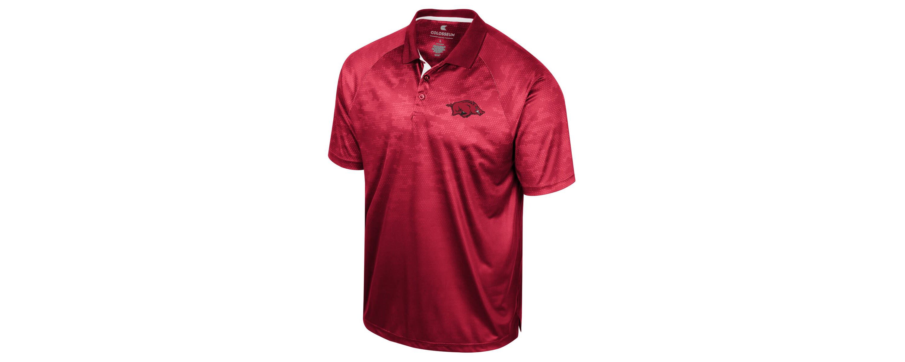 NCAA Arkansas Razorbacks Honeycomb Raglan Polo