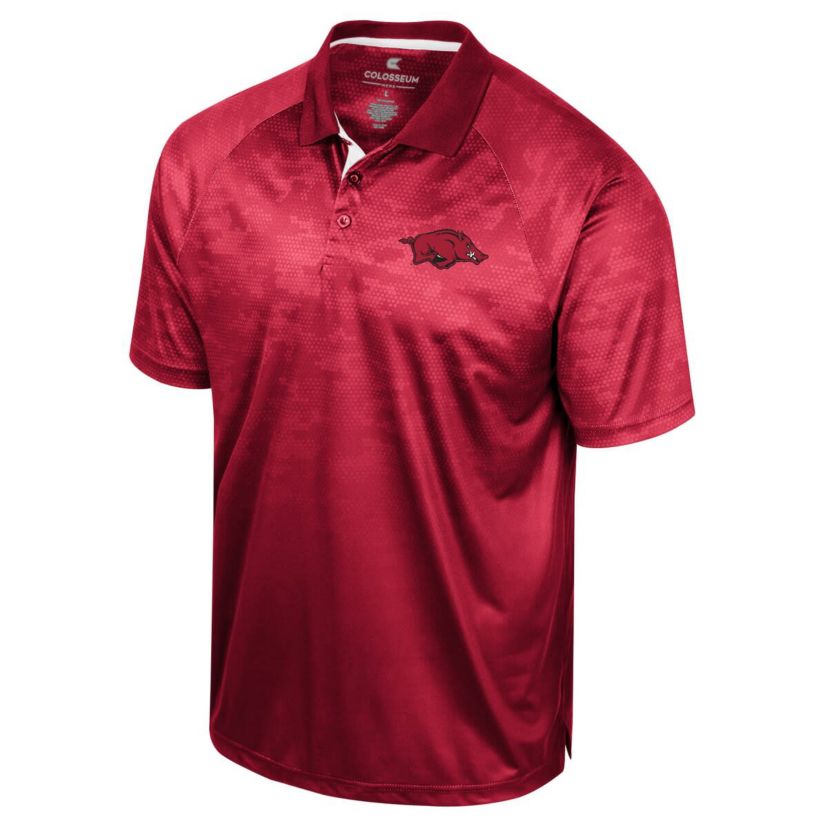 NCAA Arkansas Razorbacks Honeycomb Raglan Polo