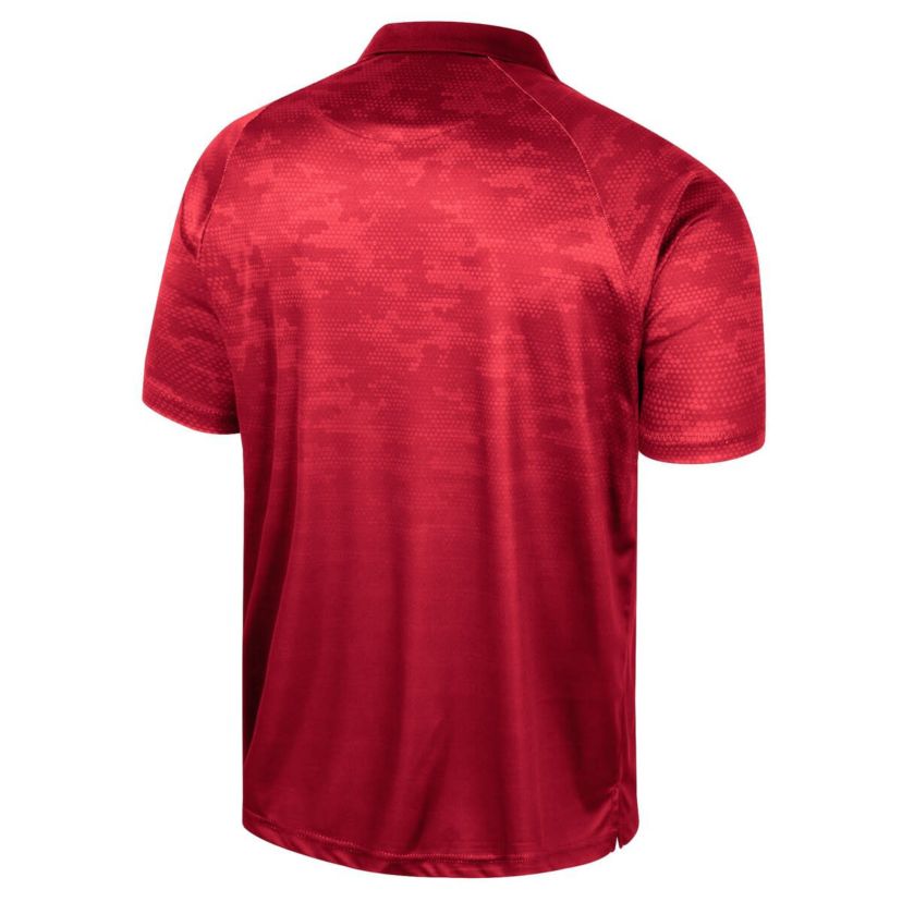 NCAA Dayton Flyers Honeycomb Raglan Polo