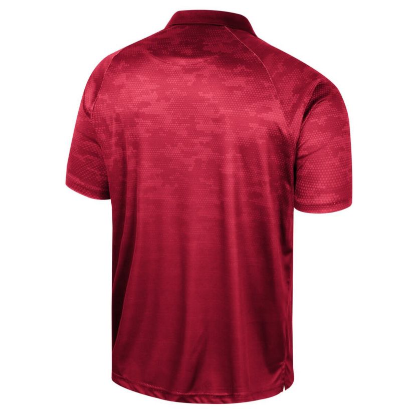 NCAA Indiana Hoosiers Honeycomb Raglan Polo