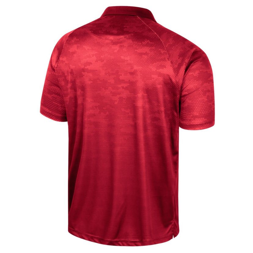 NCAA Louisville Cardinals Honeycomb Raglan Polo