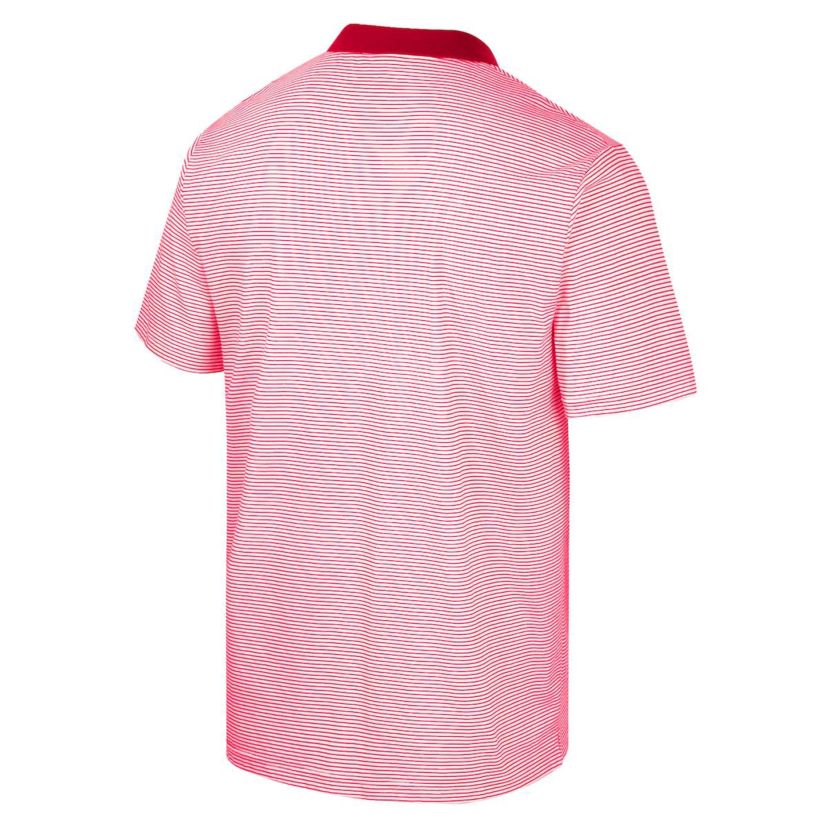 NCAA Ohio State Buckeyes Print Stripe Polo