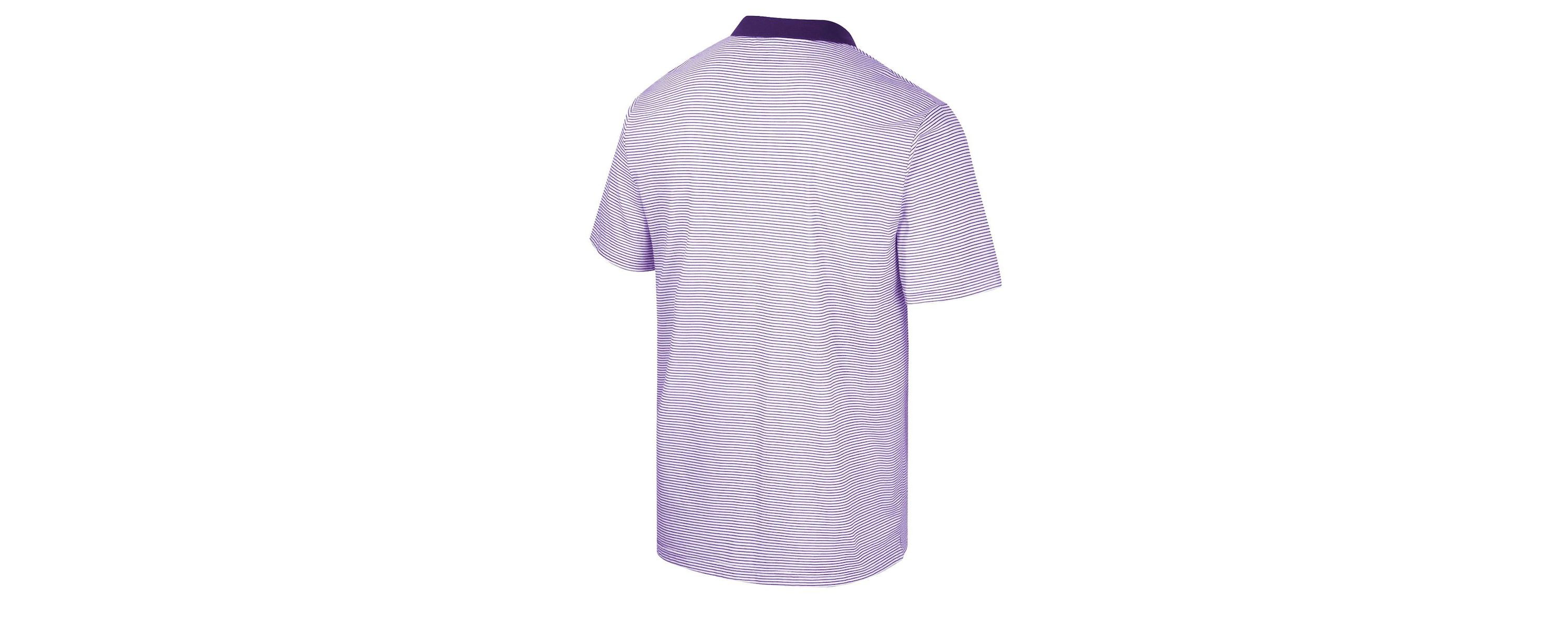 NCAA Washington Huskies Print Stripe Polo
