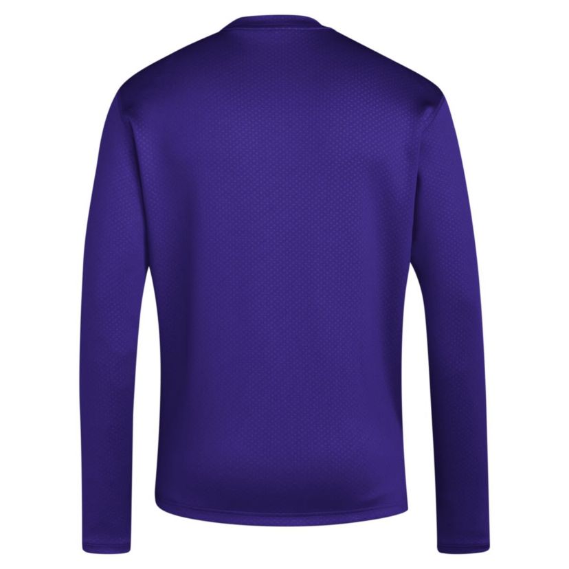 NCAA Washington Huskies Reverse Retro Baseball Script Pullover Sweatshirt