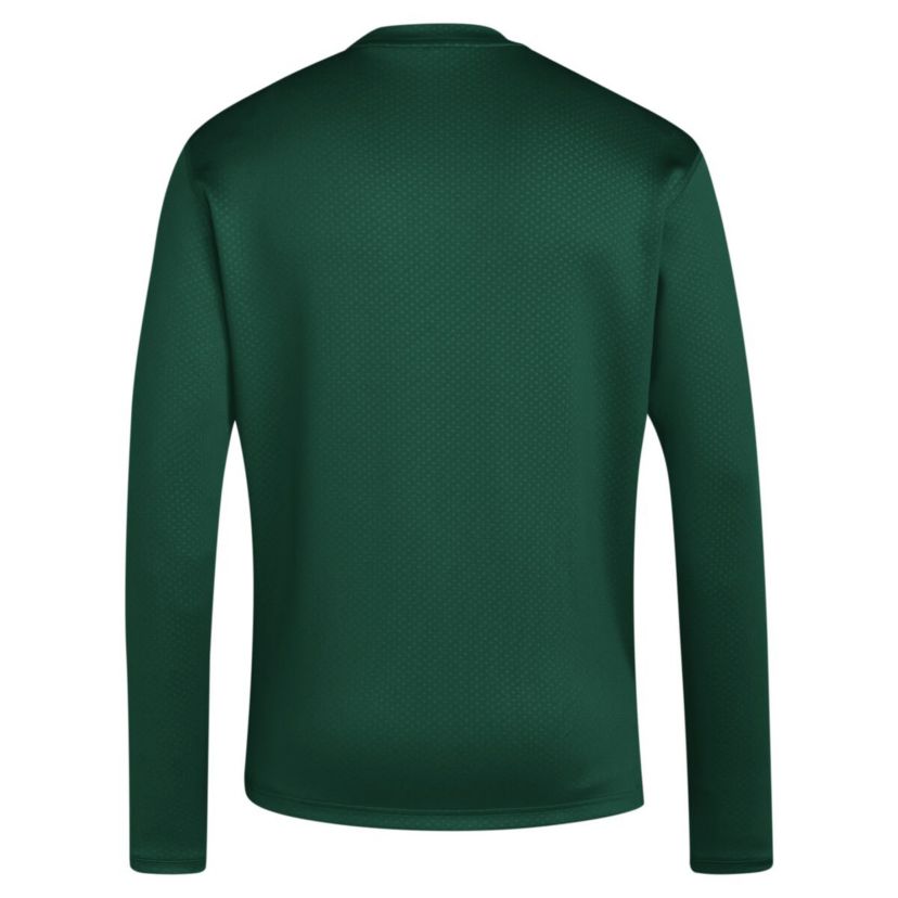 Miami (FL) Hurricanes NCAA Miami Hurricanes Reverse Retro Baseball Script Pullover Sweatshirt