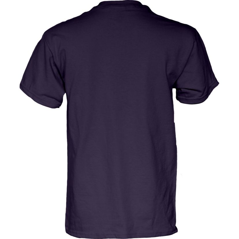 NCAA Northwestern Wildcats 2023 NCAA Big Ten Softball Conference Tournament s Locker Room T-Shirt