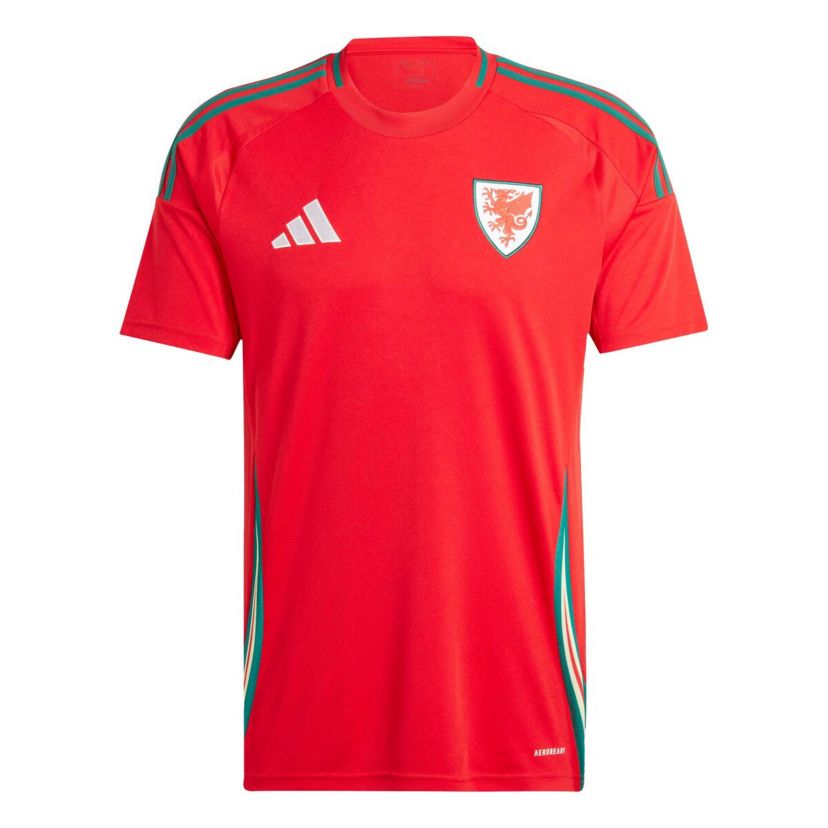 Soccer National Teams Wales National Team 2024 Home Replica Jersey